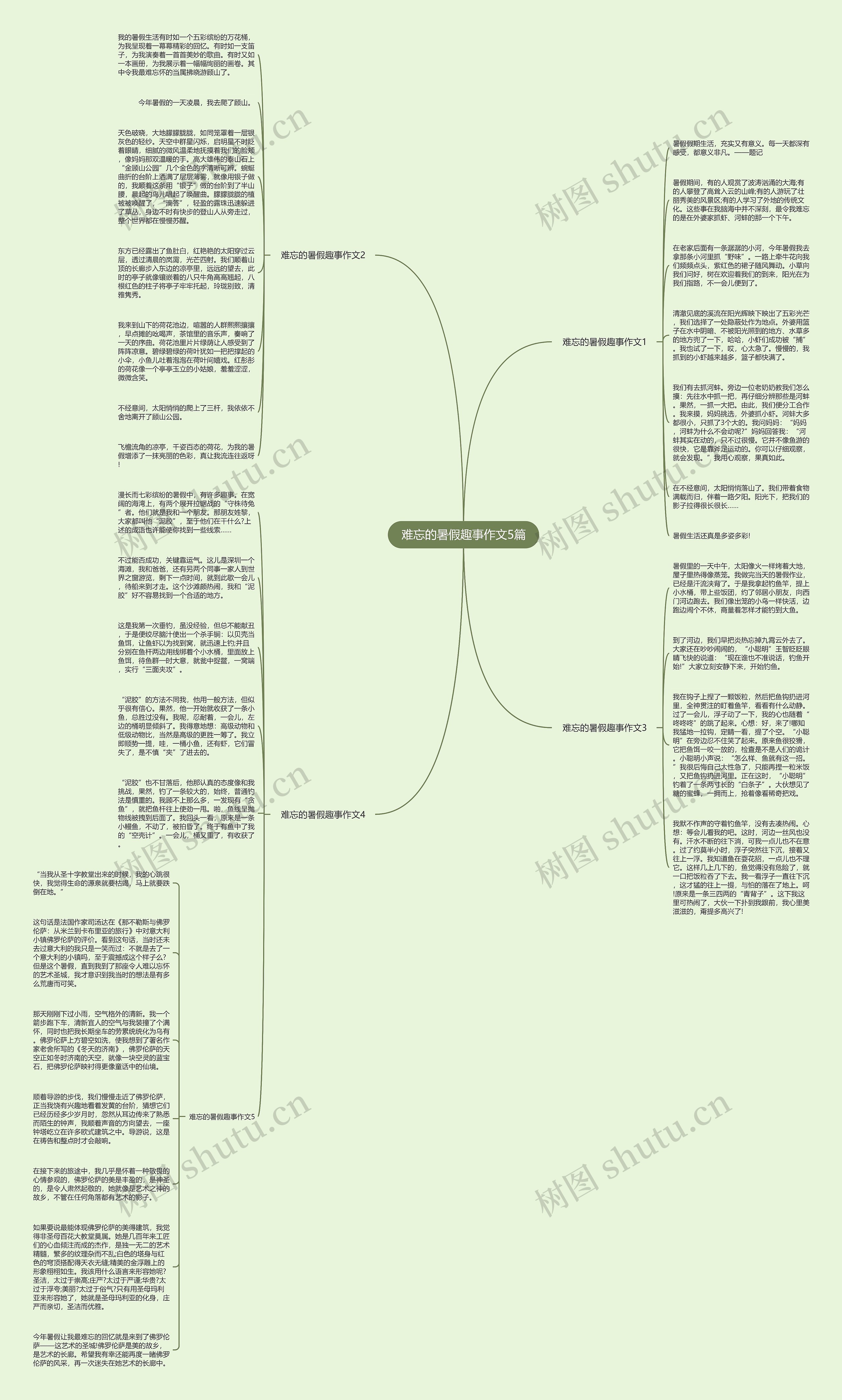 难忘的暑假趣事作文5篇思维导图