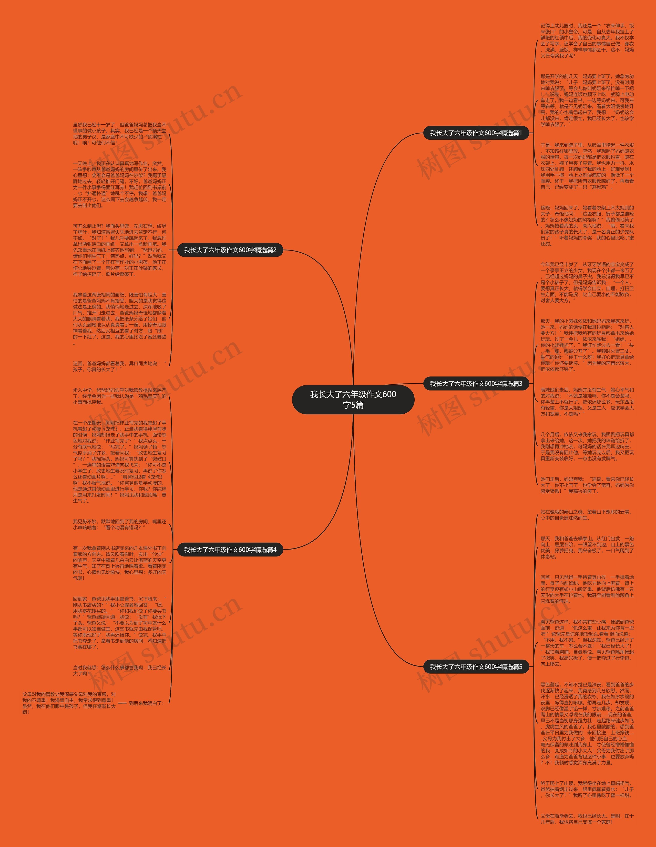 我长大了六年级作文600字5篇思维导图