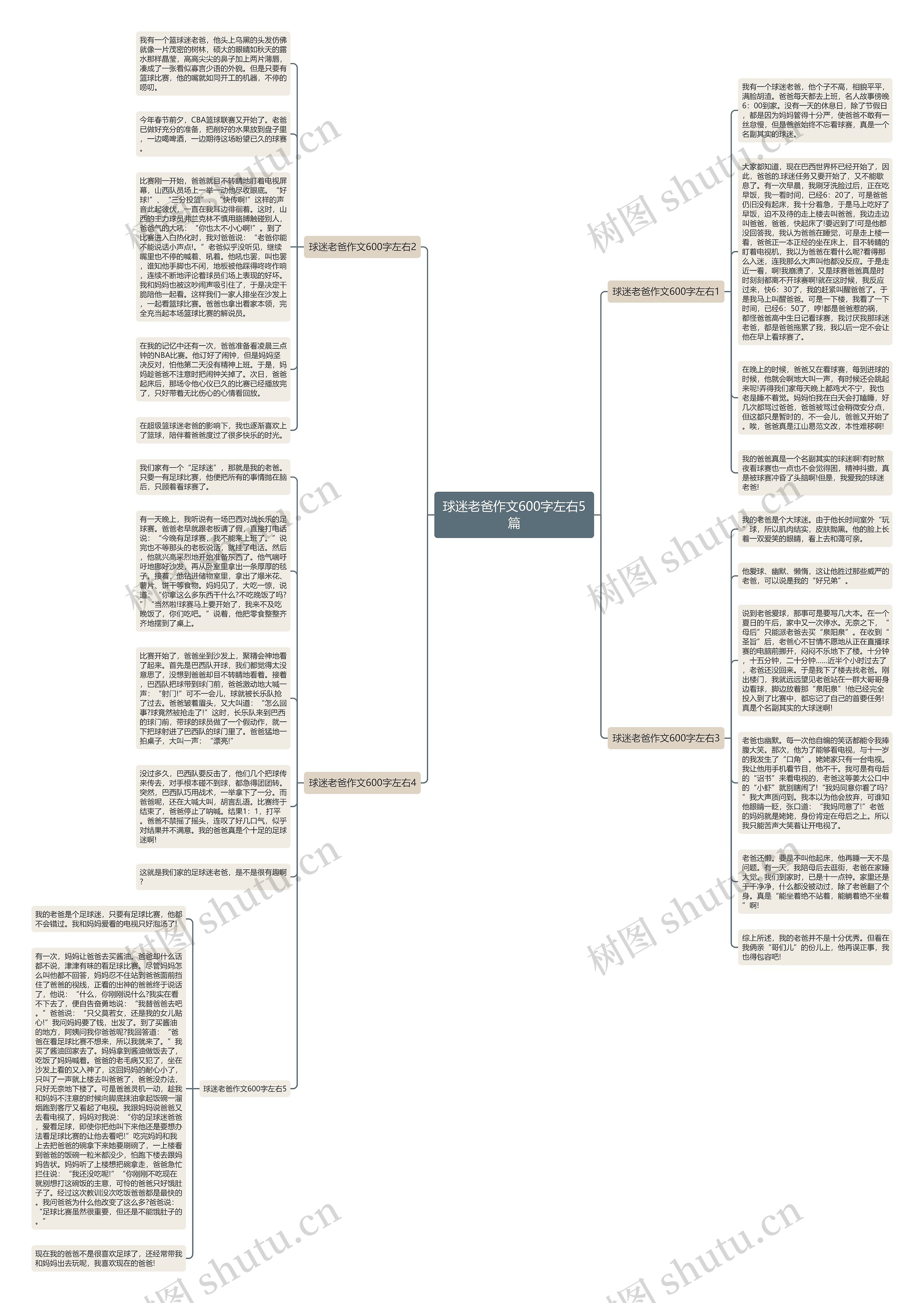 球迷老爸作文600字左右5篇思维导图