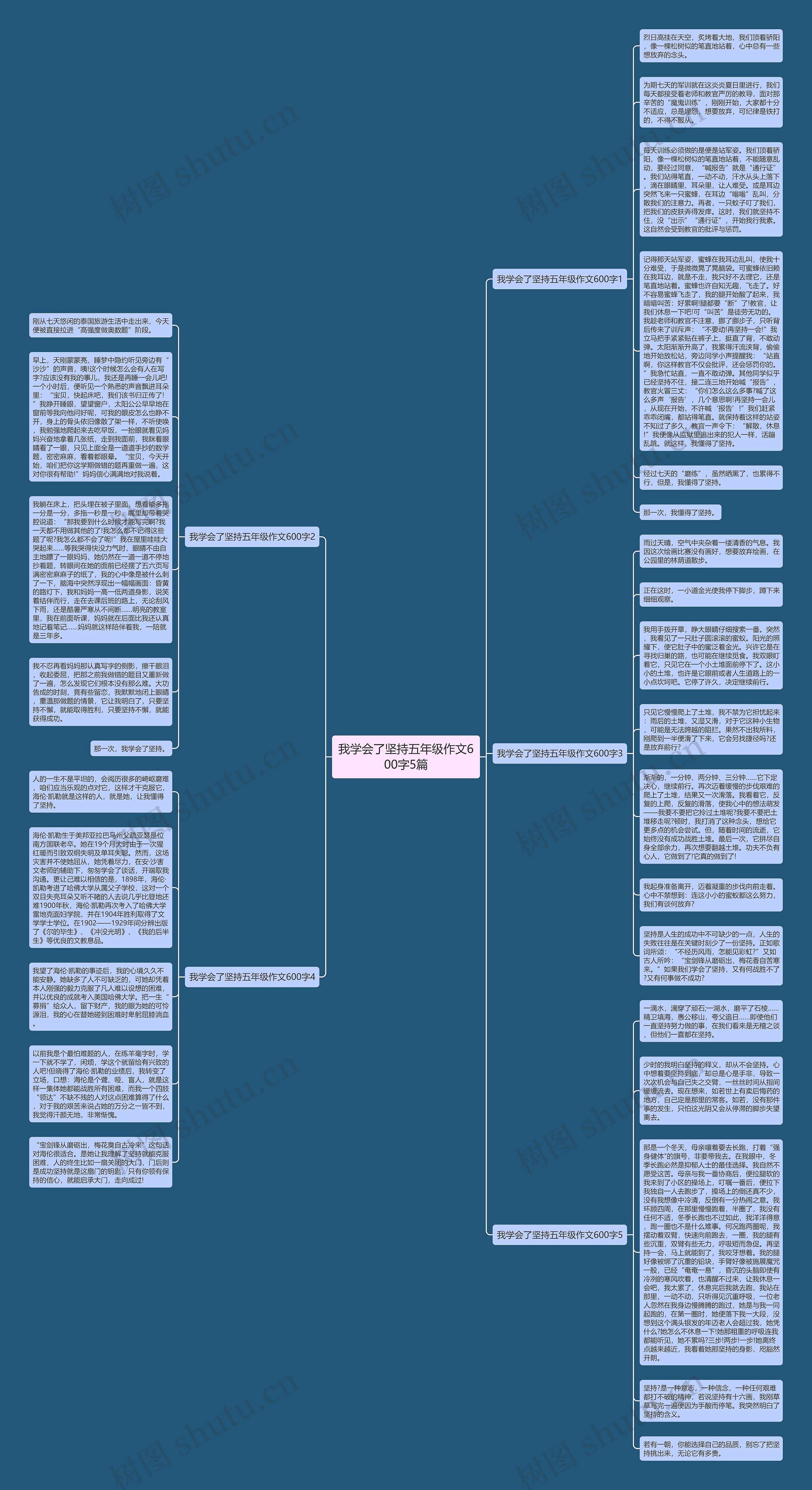 我学会了坚持五年级作文600字5篇思维导图