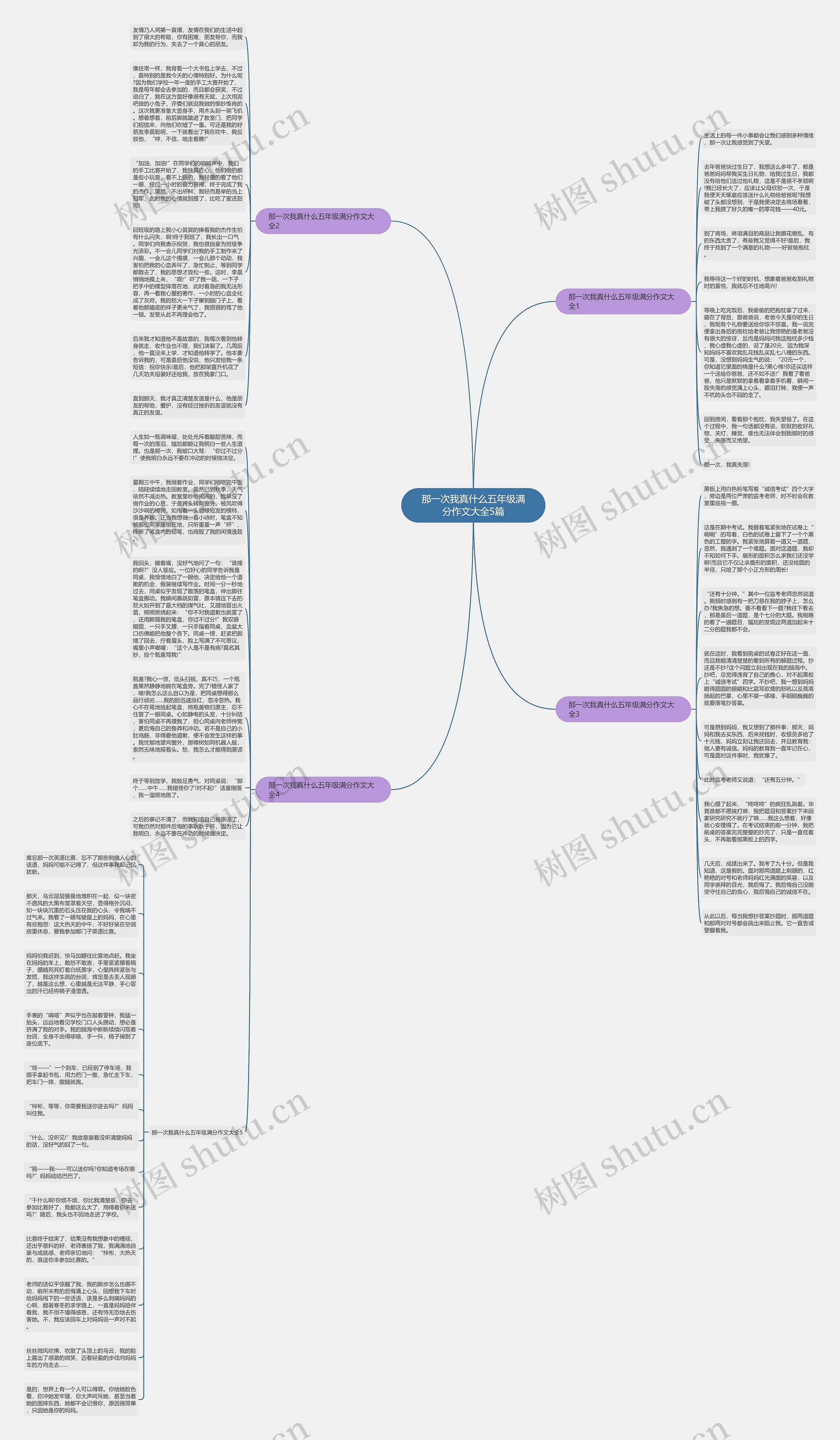 那一次我真什么五年级满分作文大全5篇思维导图