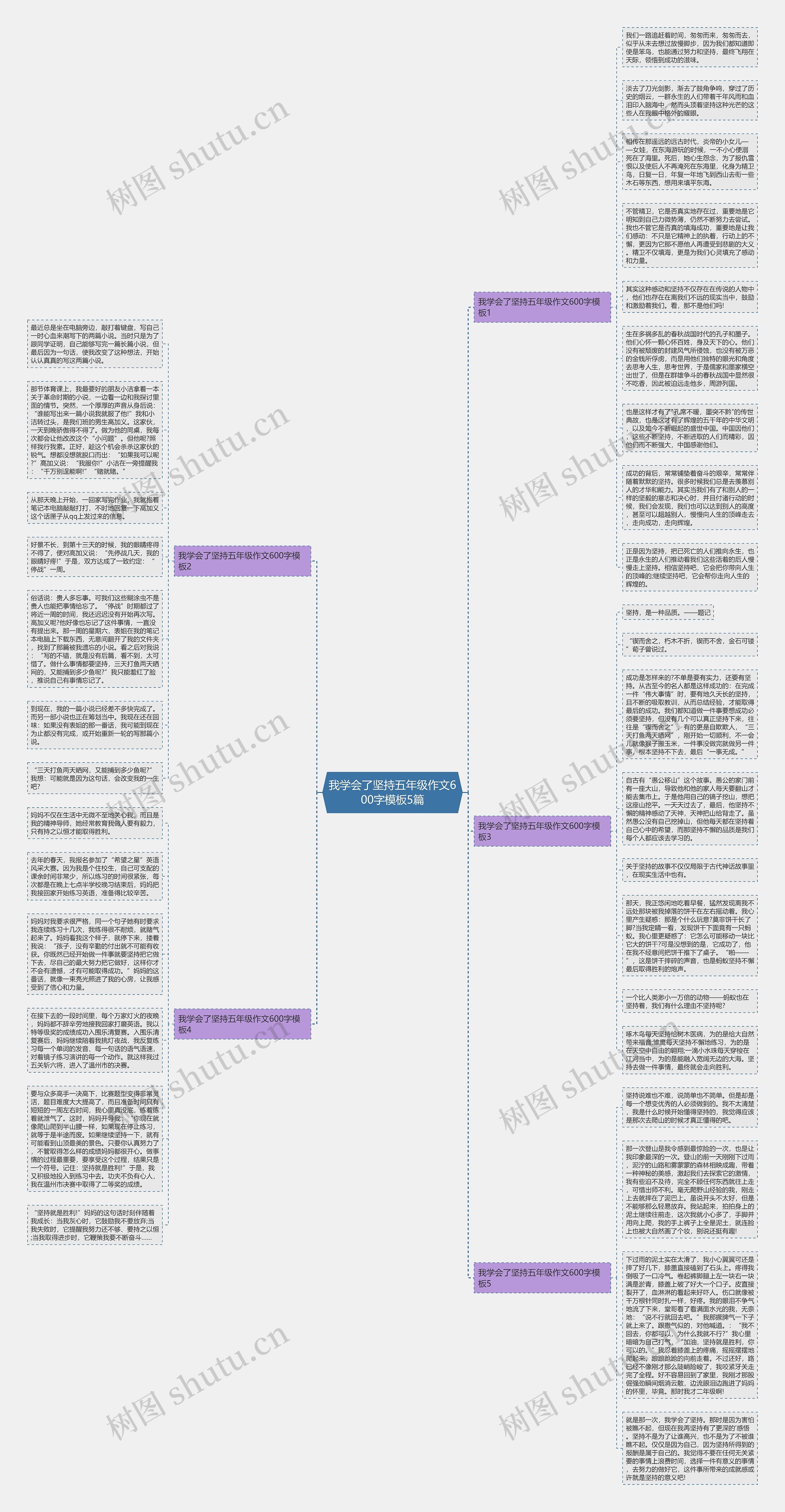 我学会了坚持五年级作文600字5篇思维导图