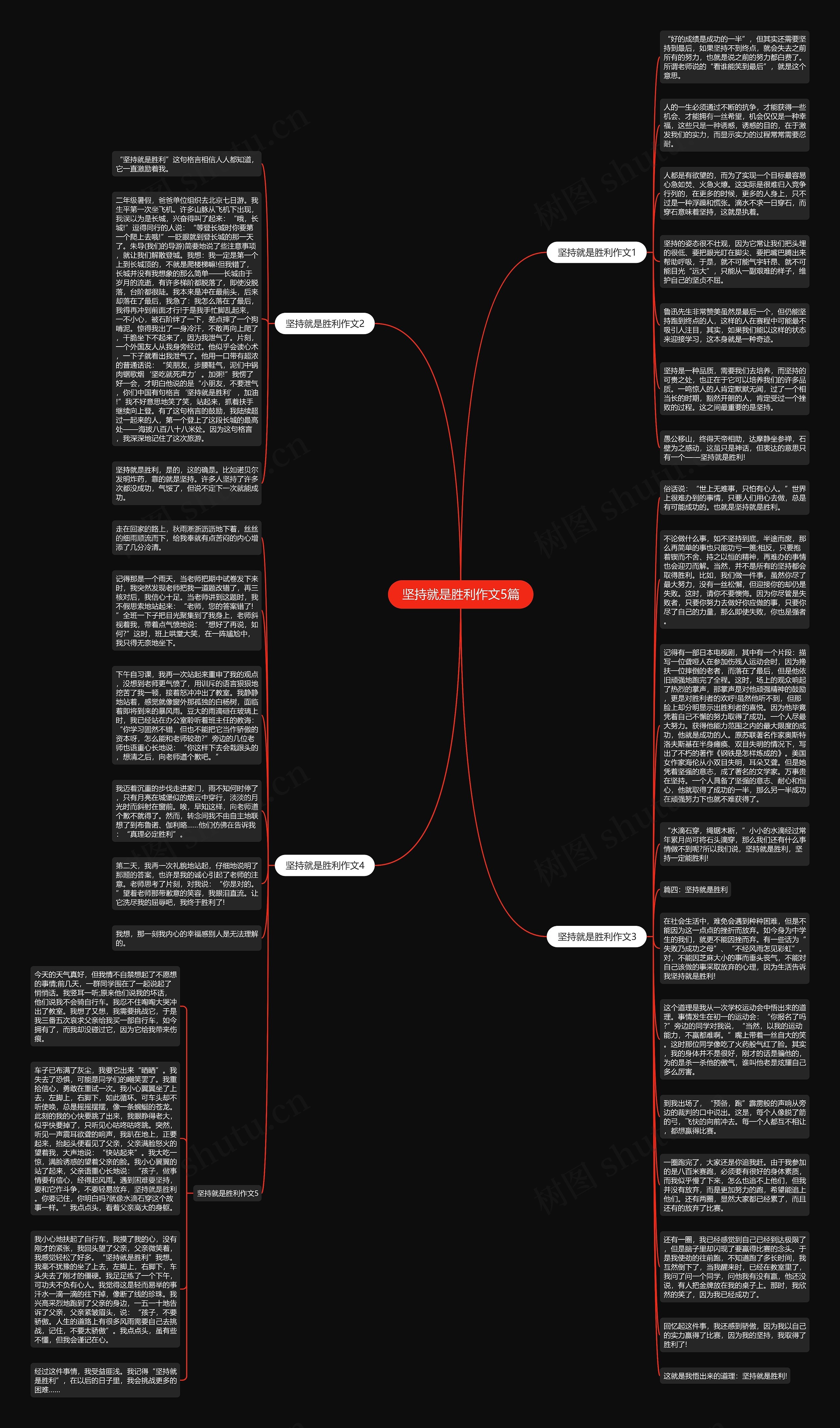 坚持就是胜利作文5篇思维导图