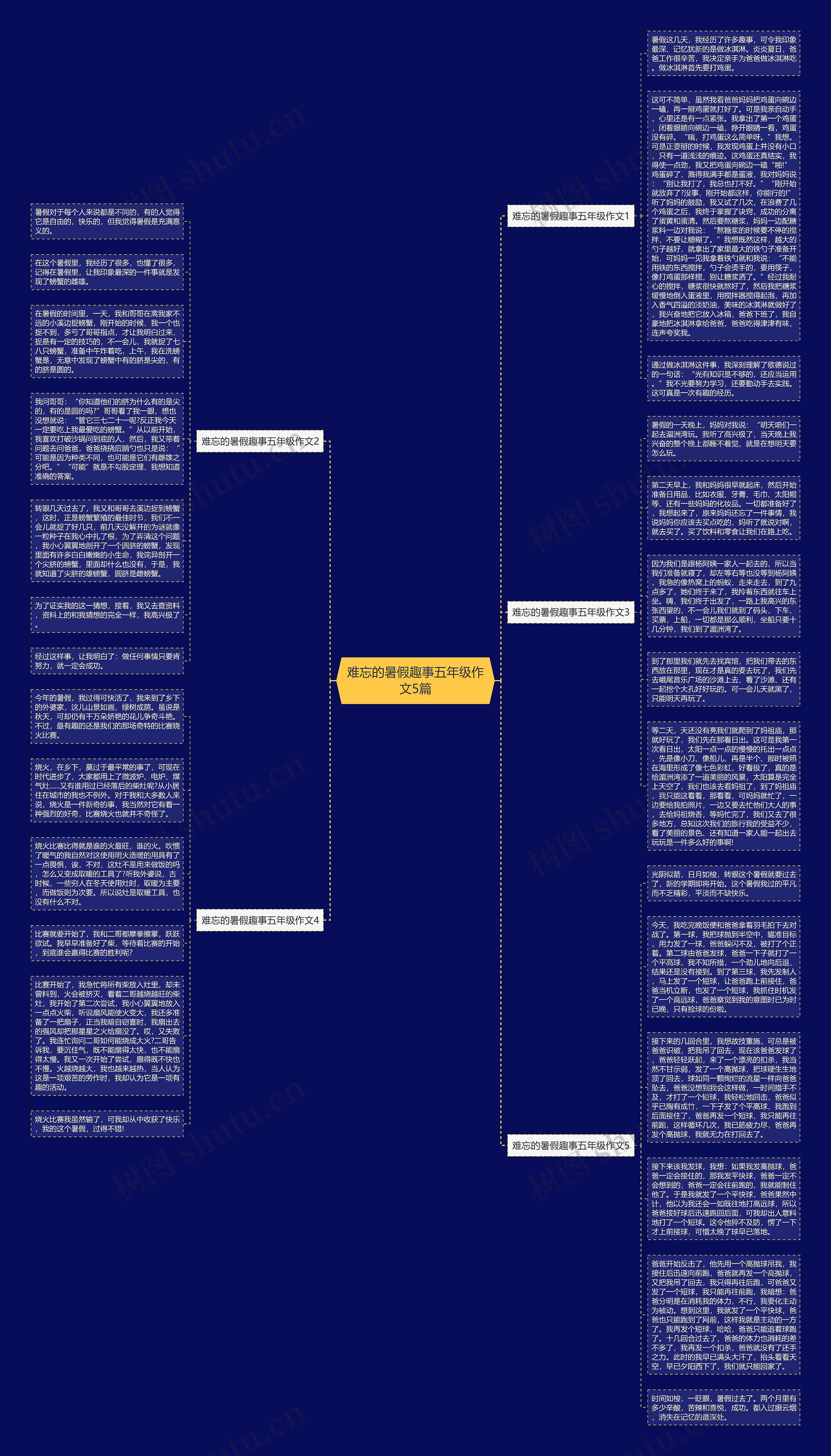 难忘的暑假趣事五年级作文5篇思维导图