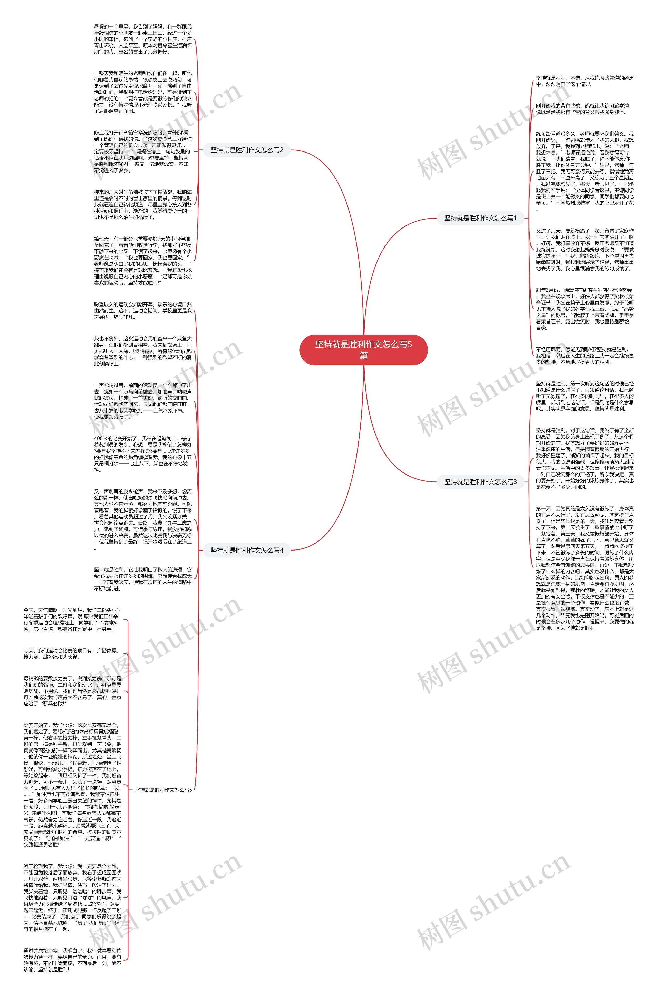 坚持就是胜利作文怎么写5篇思维导图