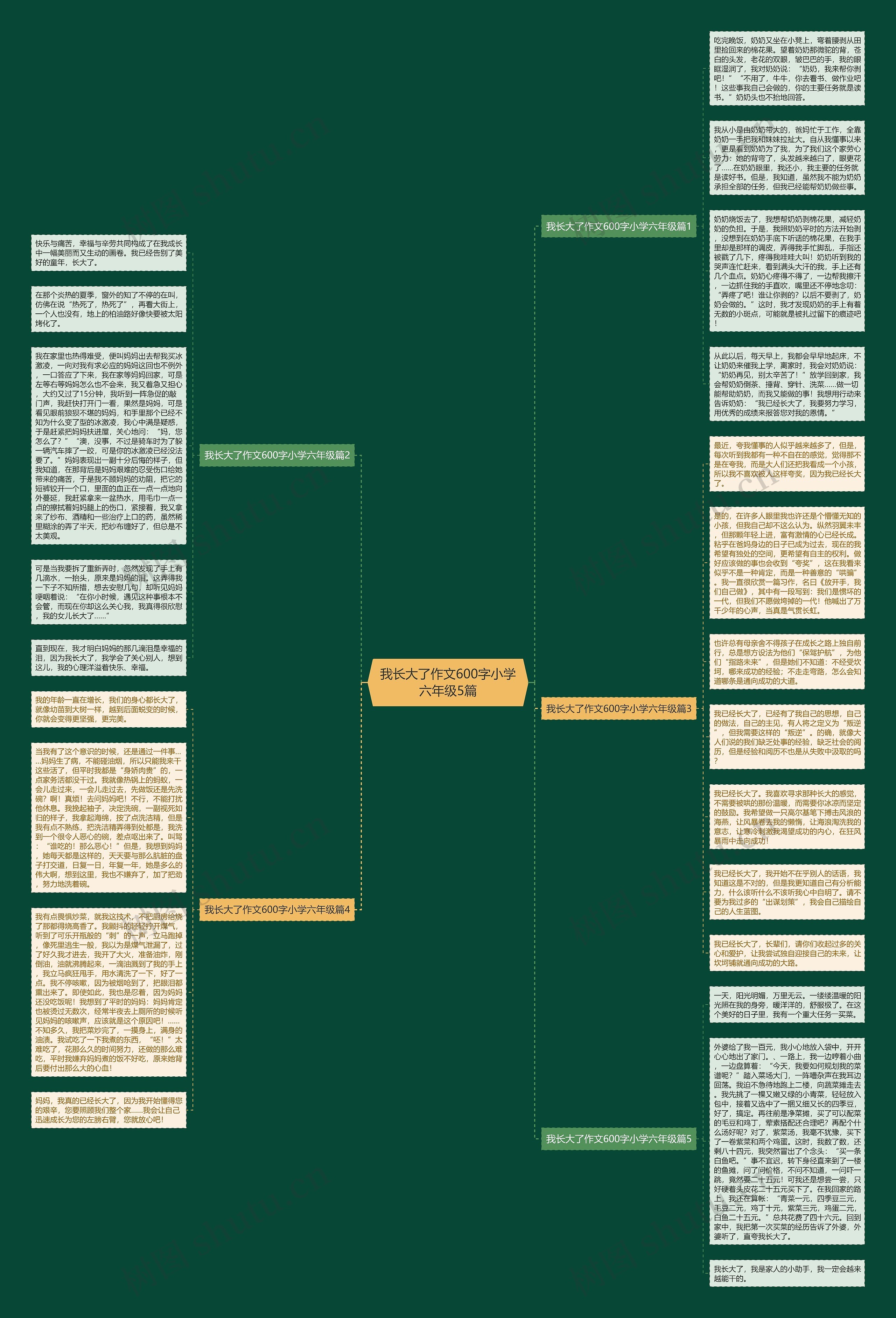 我长大了作文600字小学六年级5篇思维导图