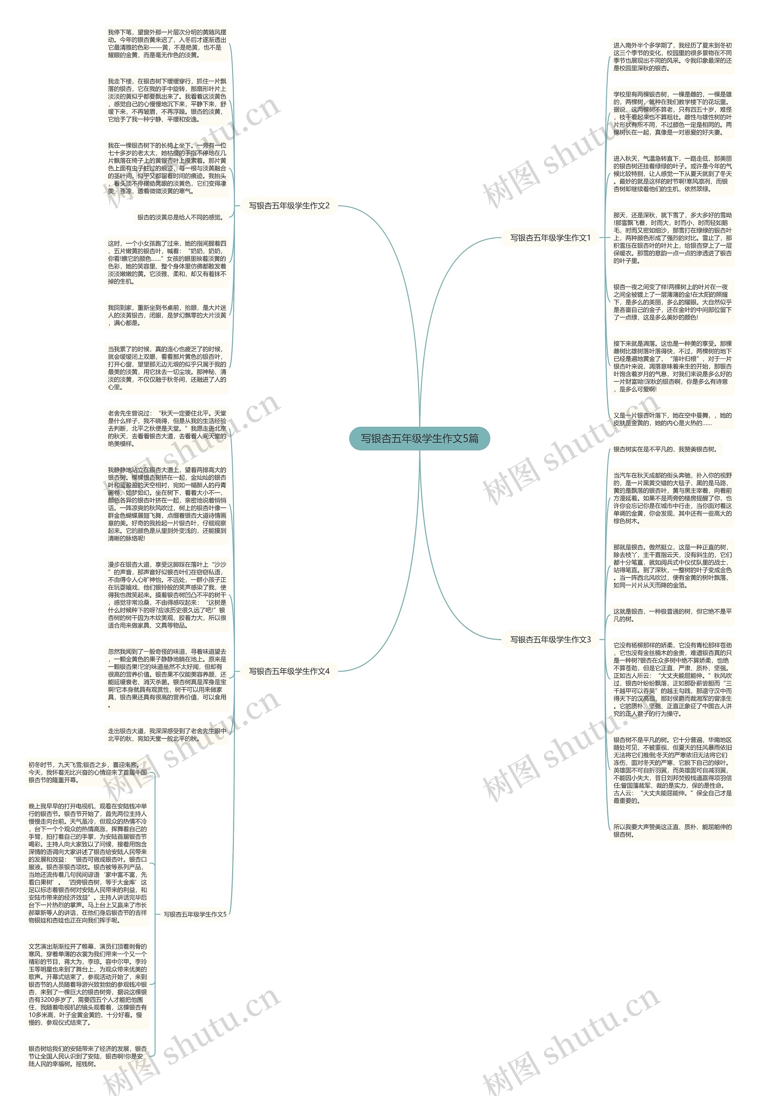 写银杏五年级学生作文5篇思维导图