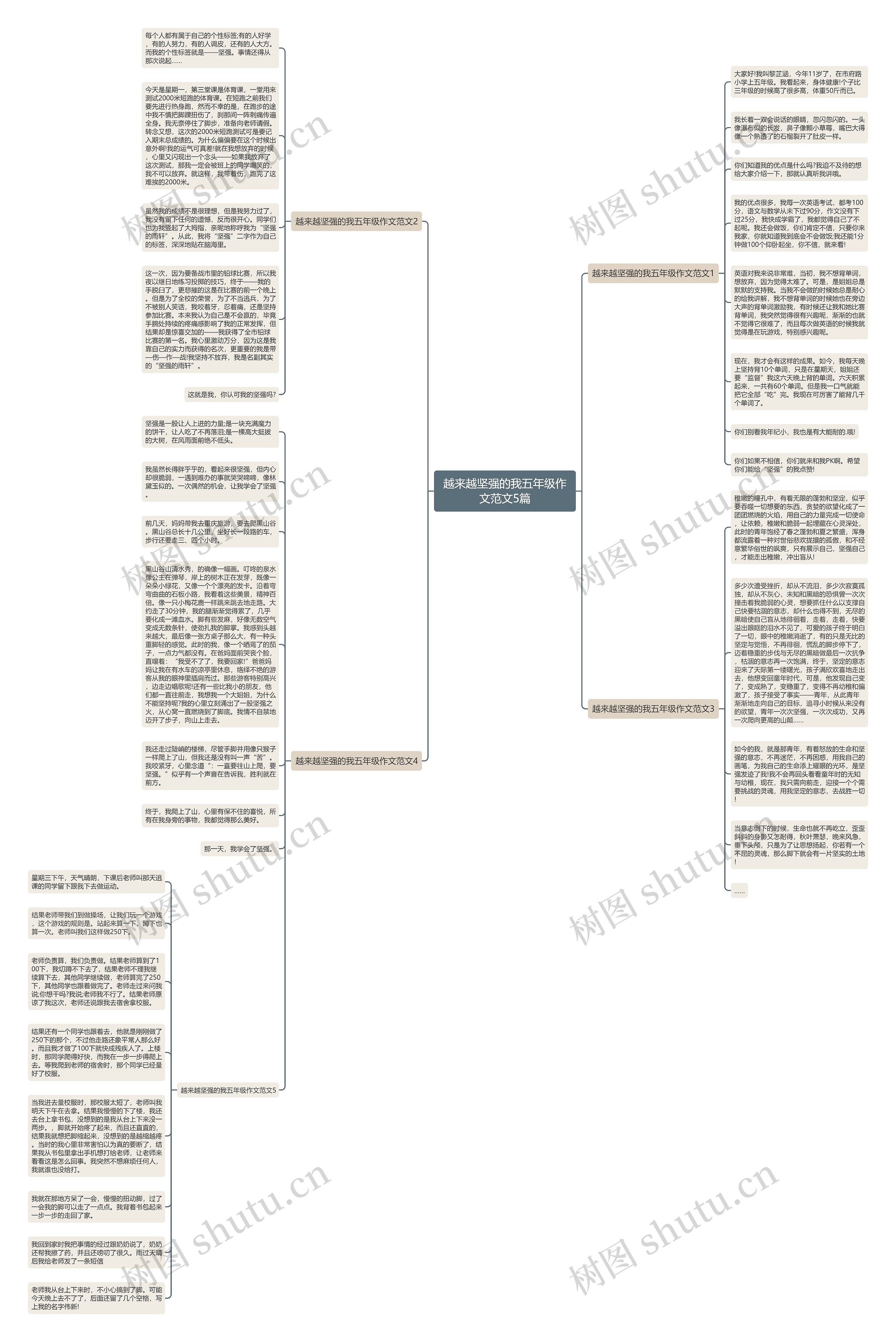 越来越坚强的我五年级作文范文5篇思维导图