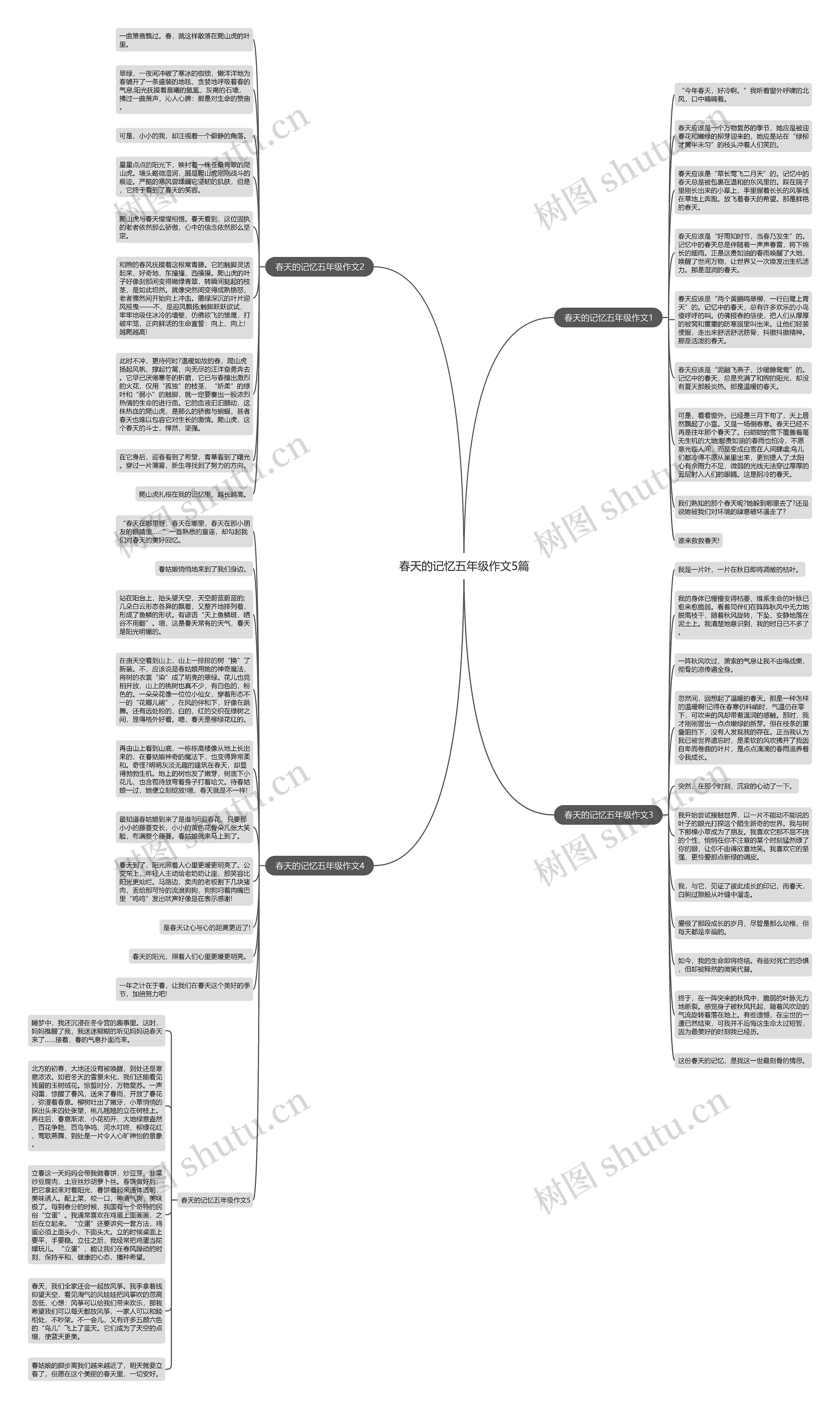 春天的记忆五年级作文5篇思维导图