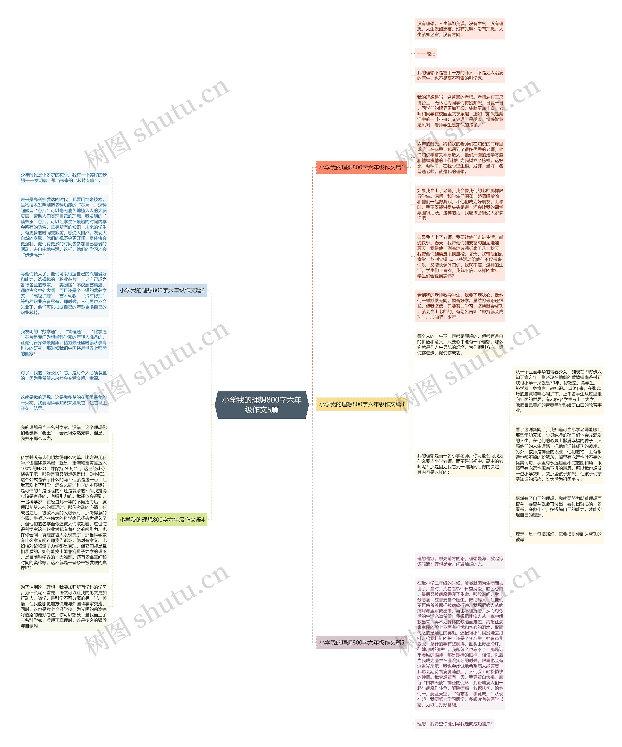 小学我的理想800字六年级作文5篇思维导图