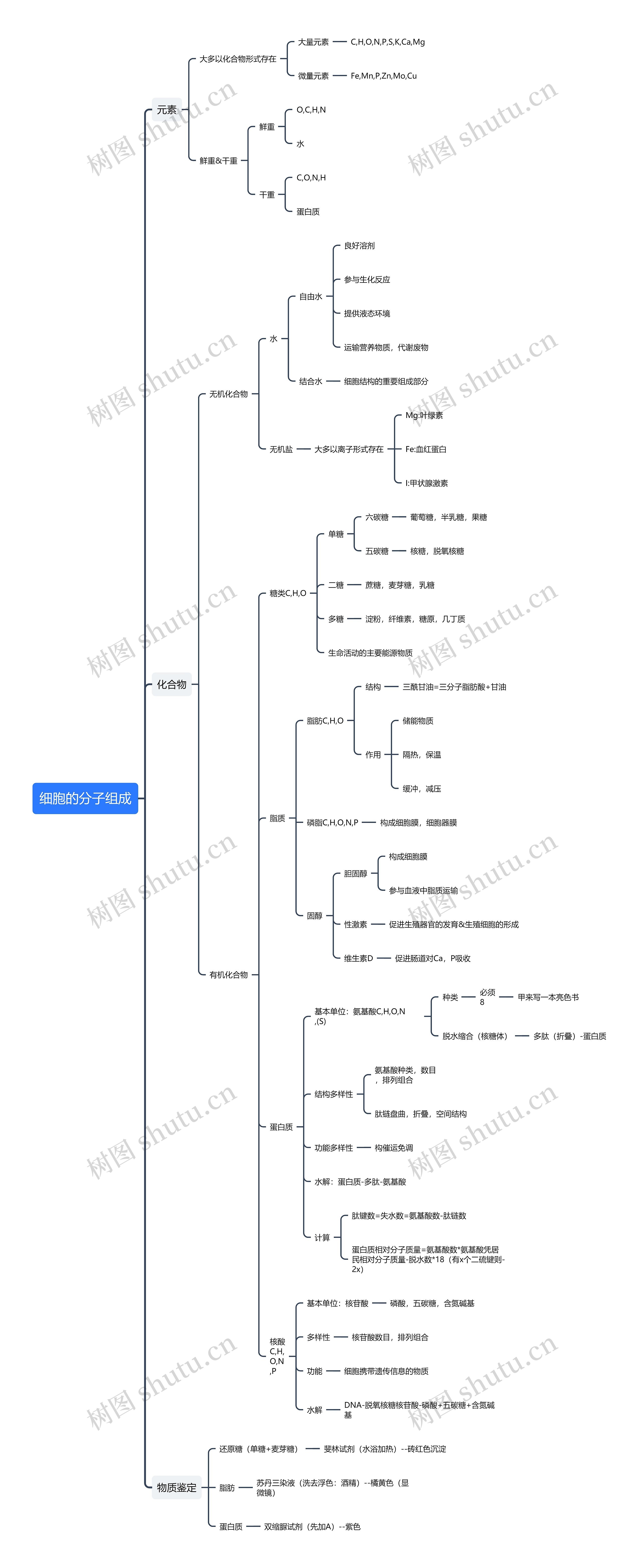 生物细胞的分子组成知识清单思维导图