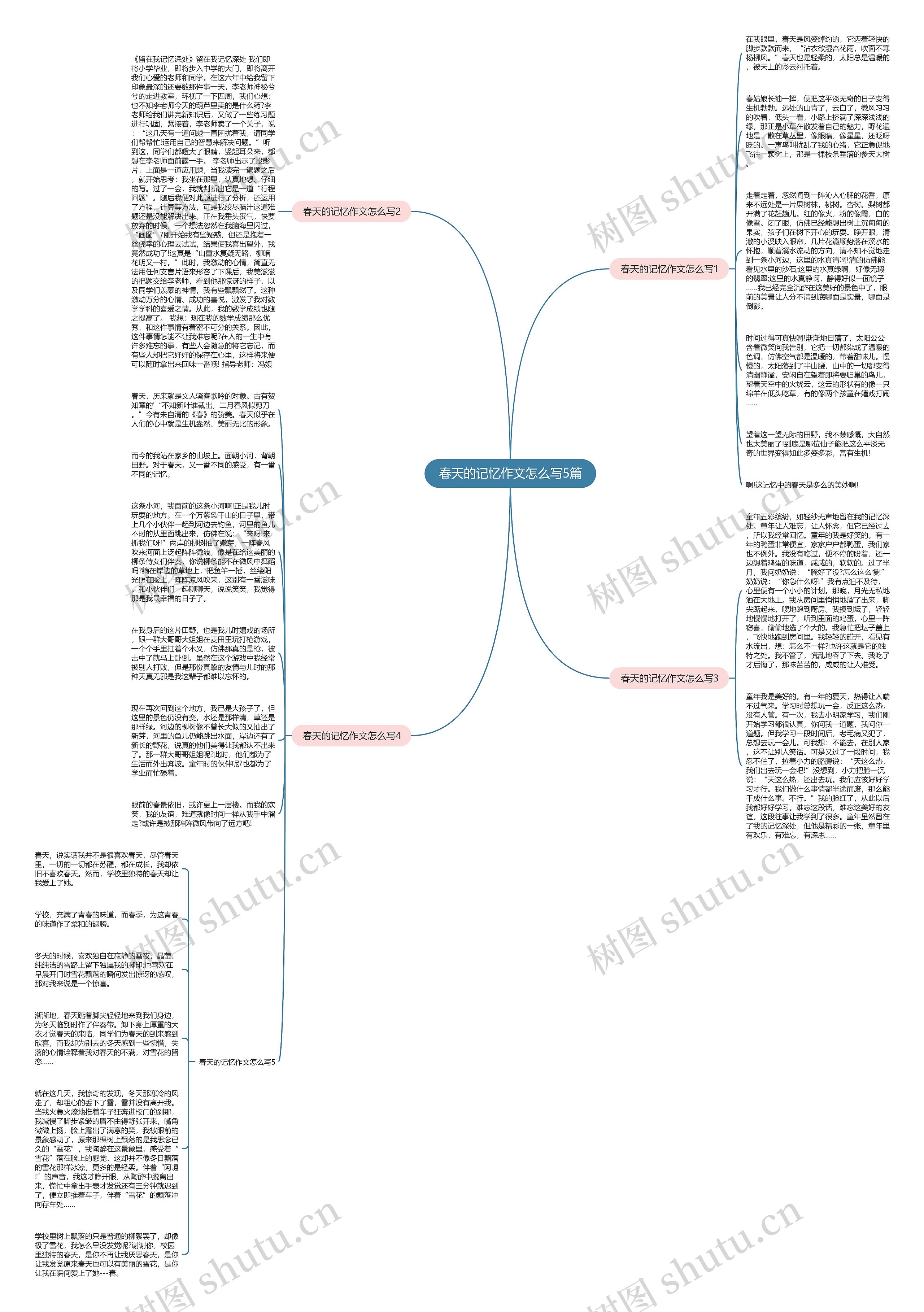 春天的记忆作文怎么写5篇思维导图