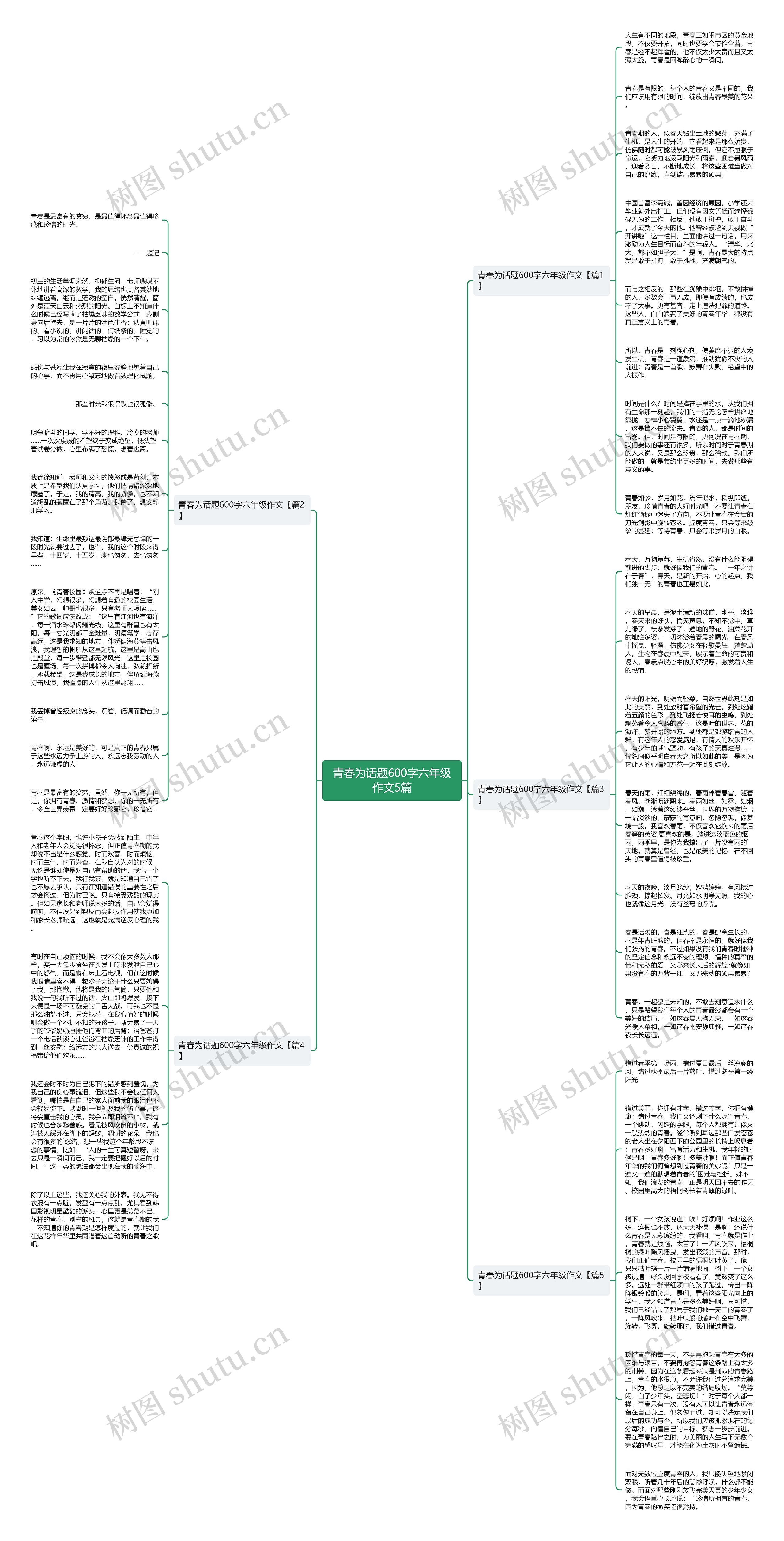 青春为话题600字六年级作文5篇思维导图