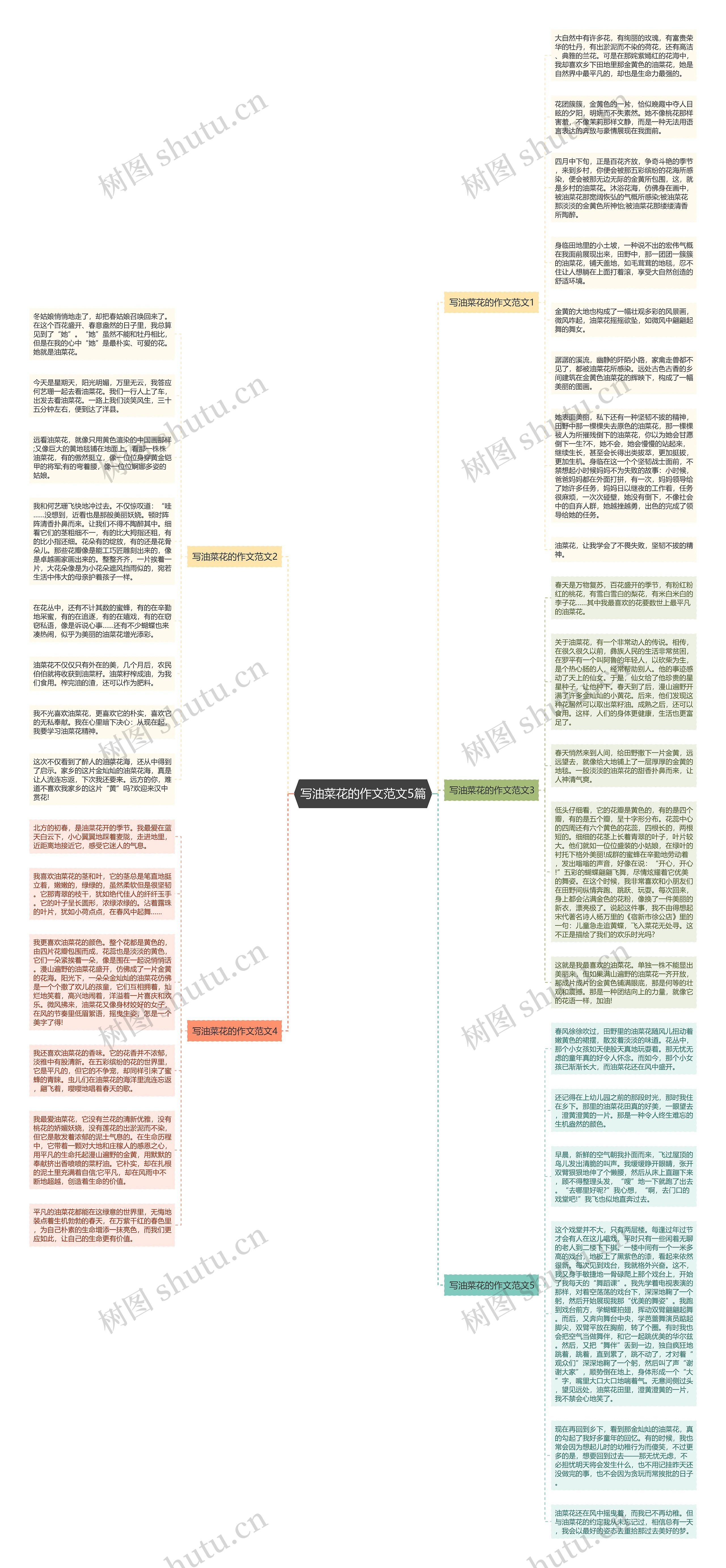 写油菜花的作文范文5篇思维导图