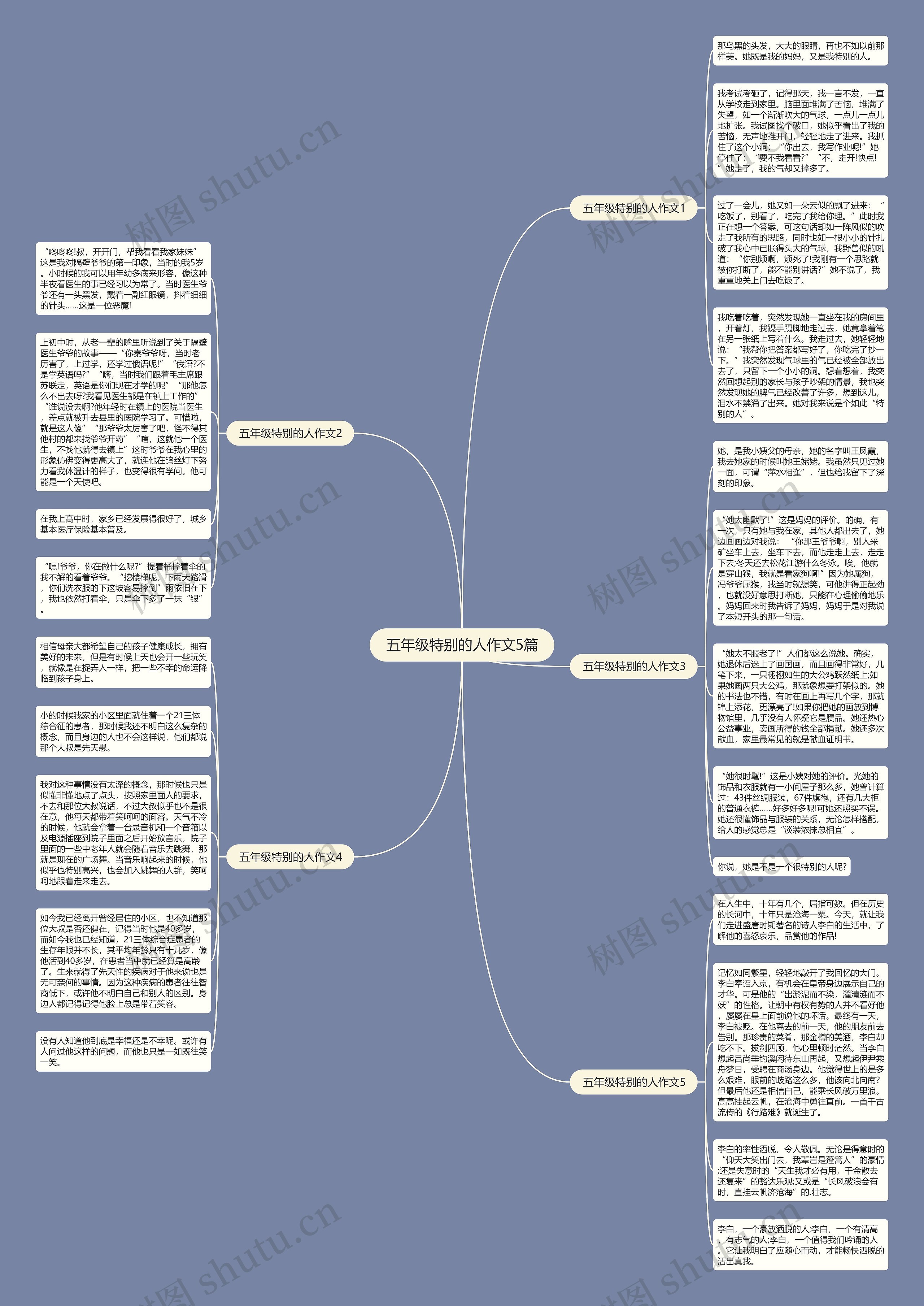 五年级特别的人作文5篇思维导图