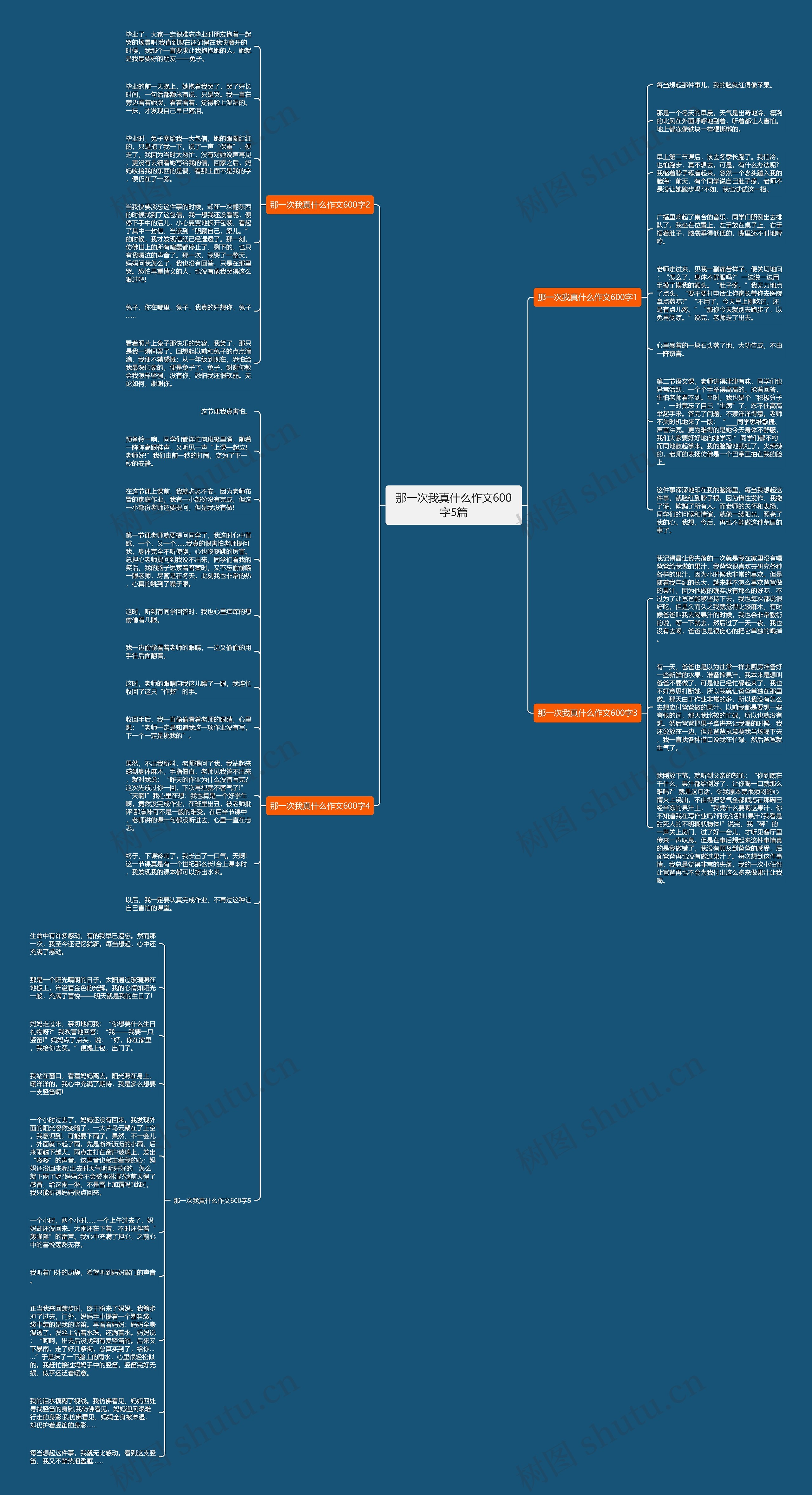 那一次我真什么作文600字5篇思维导图