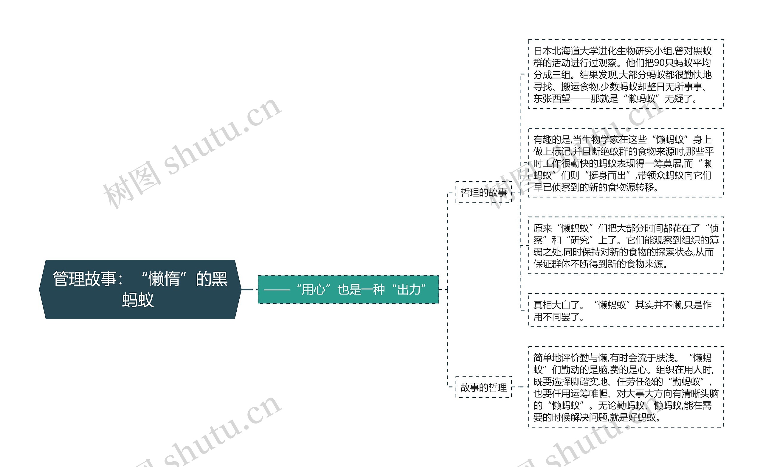 管理故事：“懒惰”的黑蚂蚁 