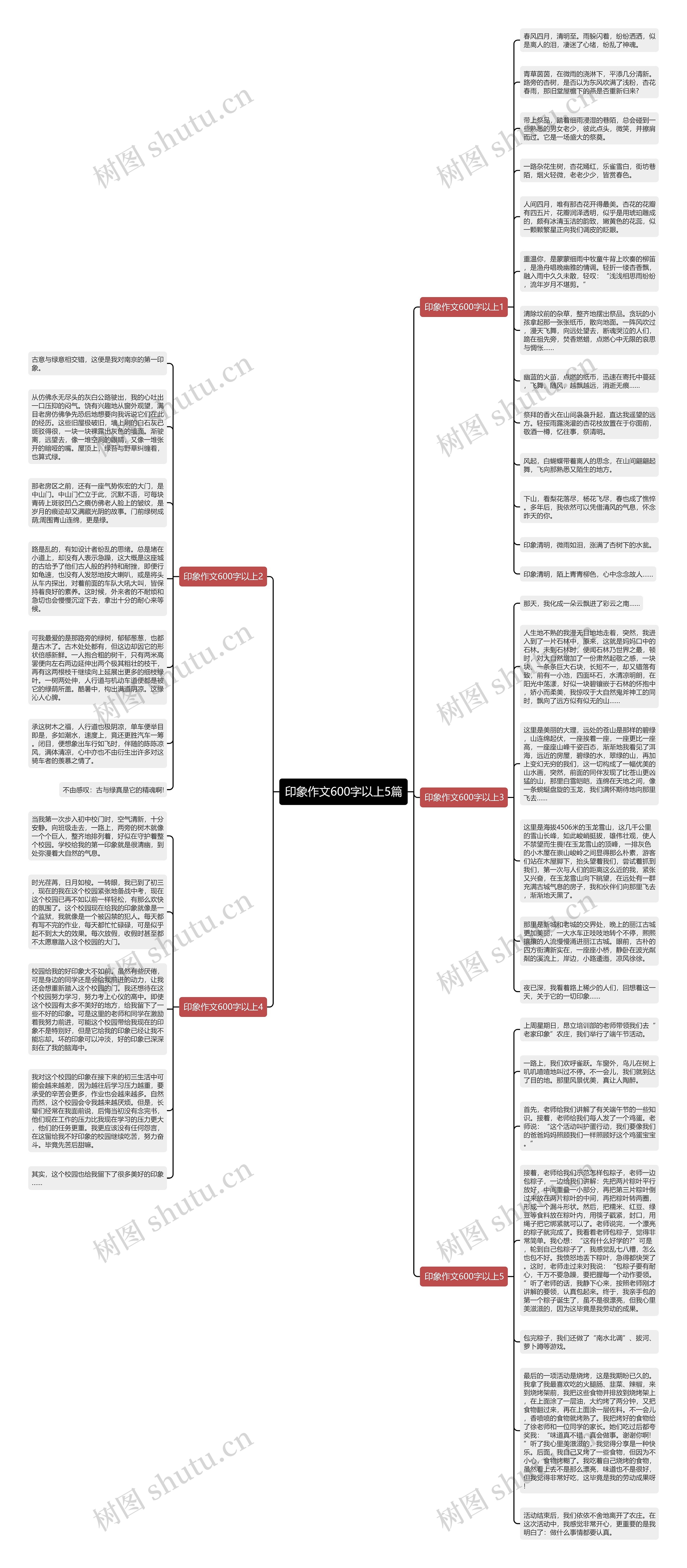 印象作文600字以上5篇思维导图
