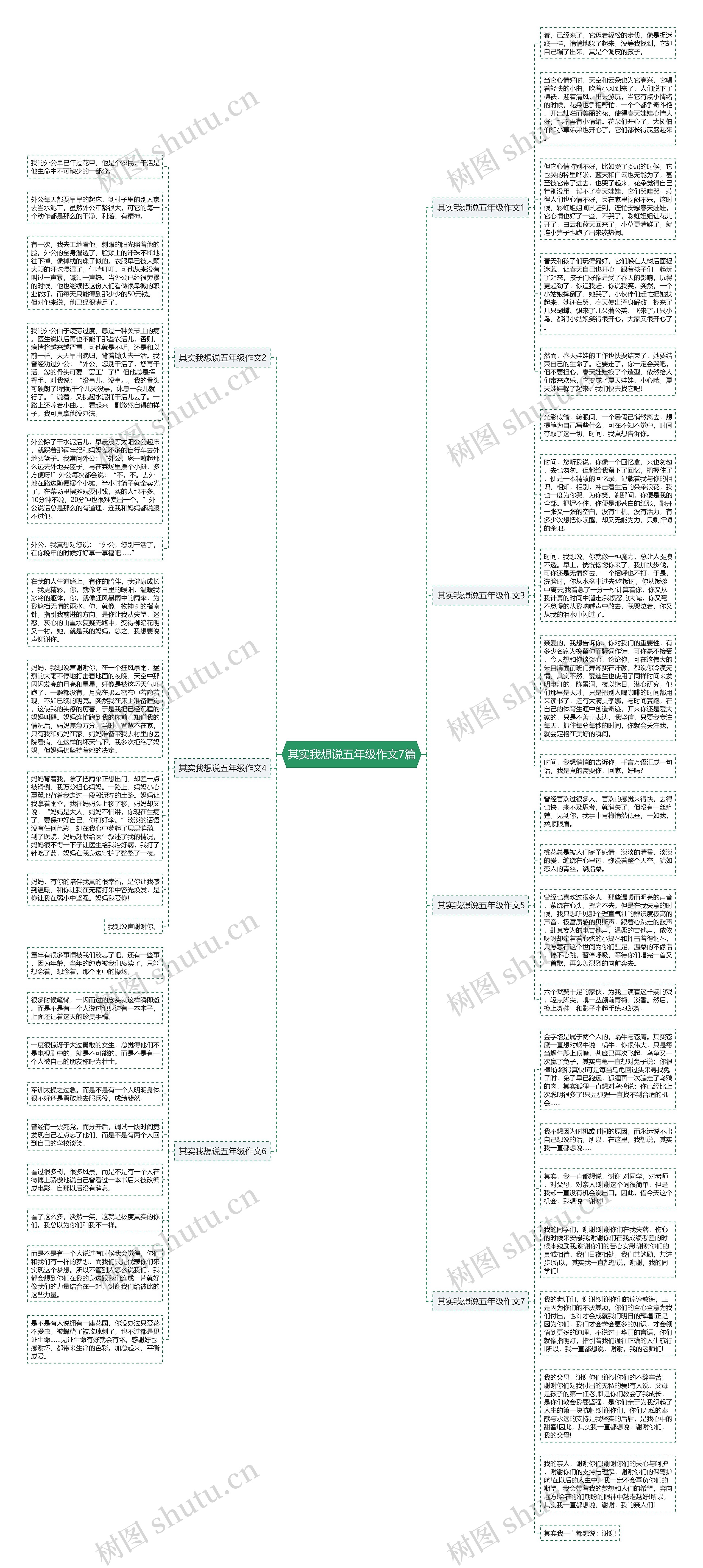 其实我想说五年级作文7篇思维导图