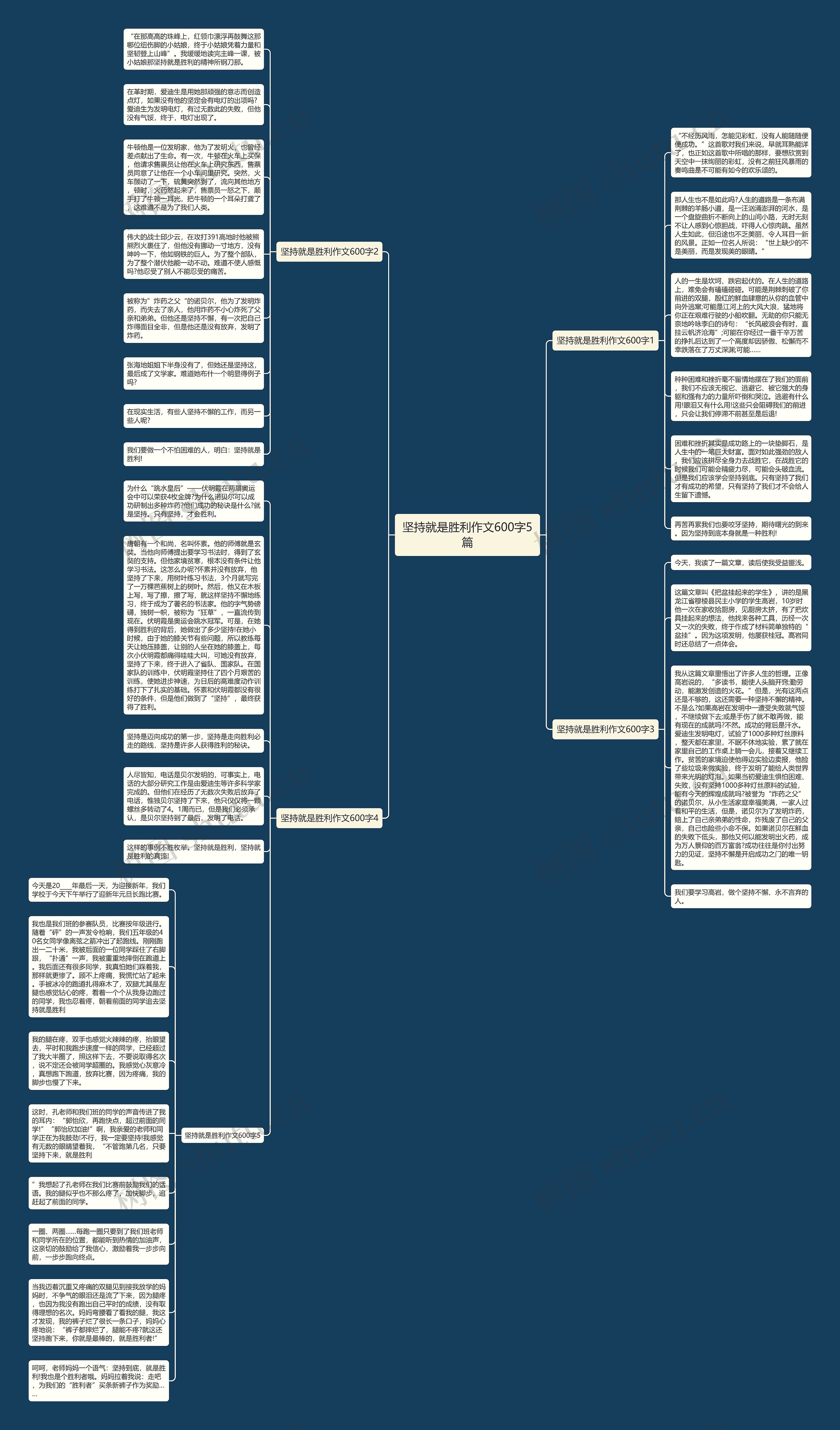 坚持就是胜利作文600字5篇思维导图