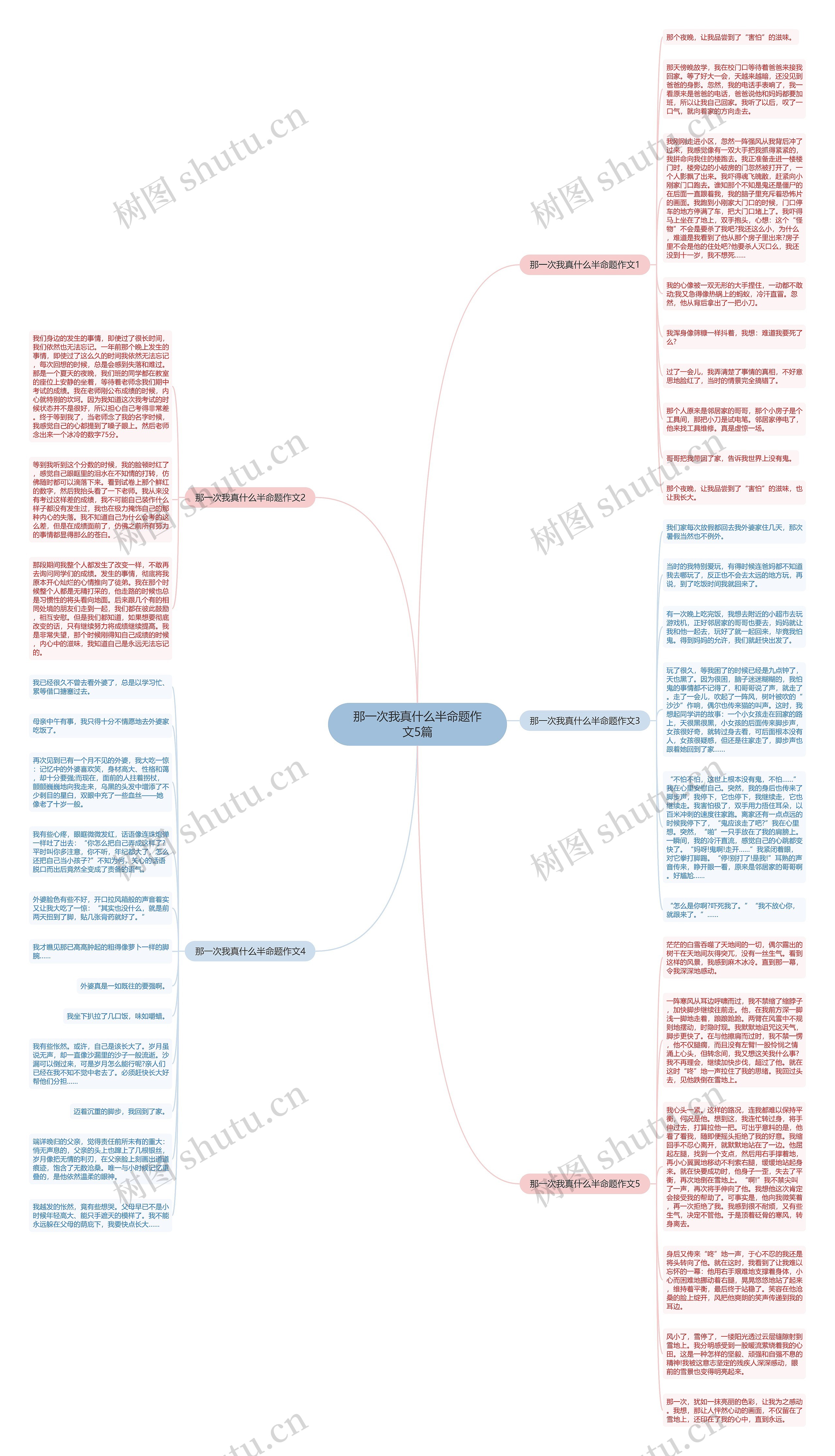 那一次我真什么半命题作文5篇思维导图