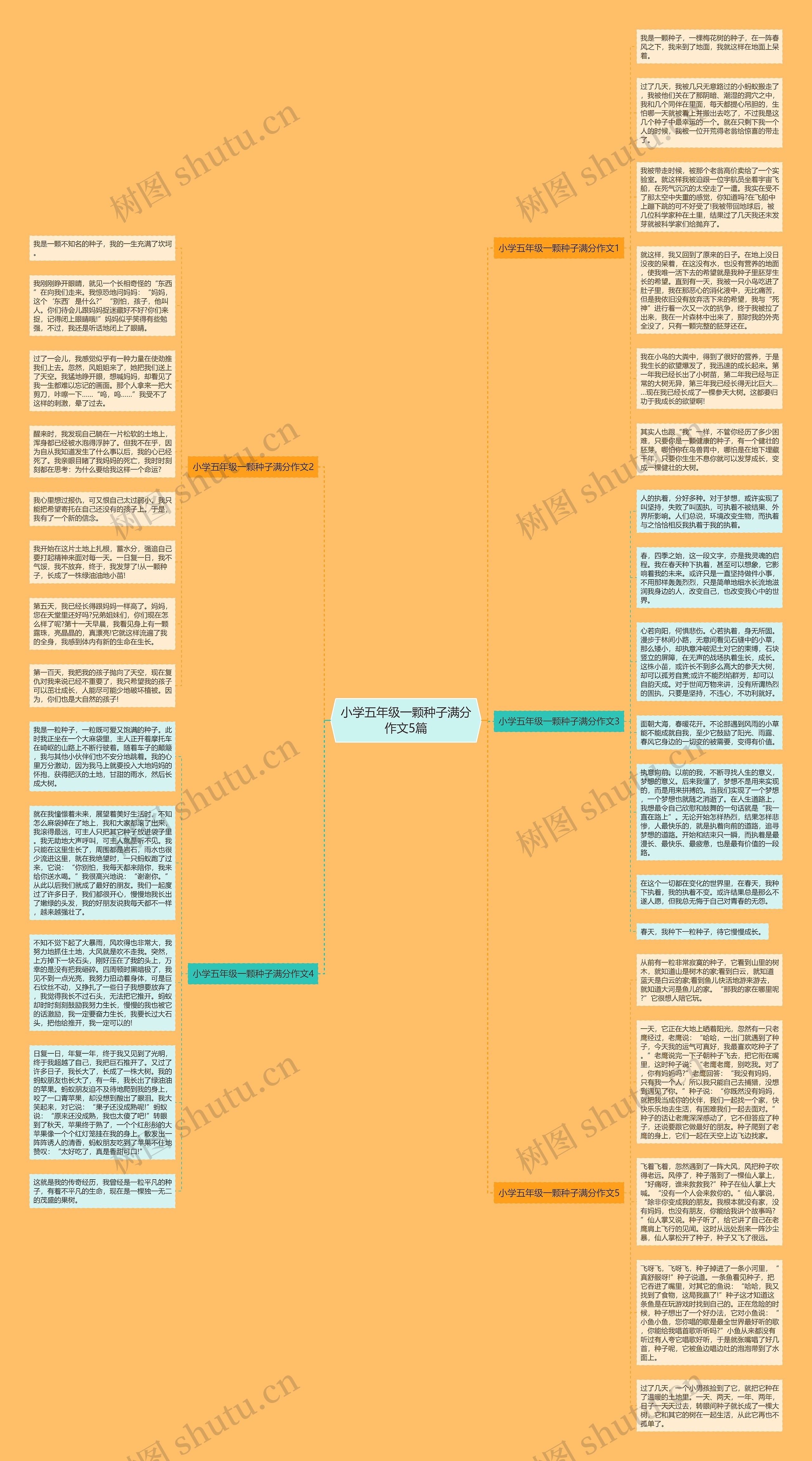 小学五年级一颗种子满分作文5篇思维导图