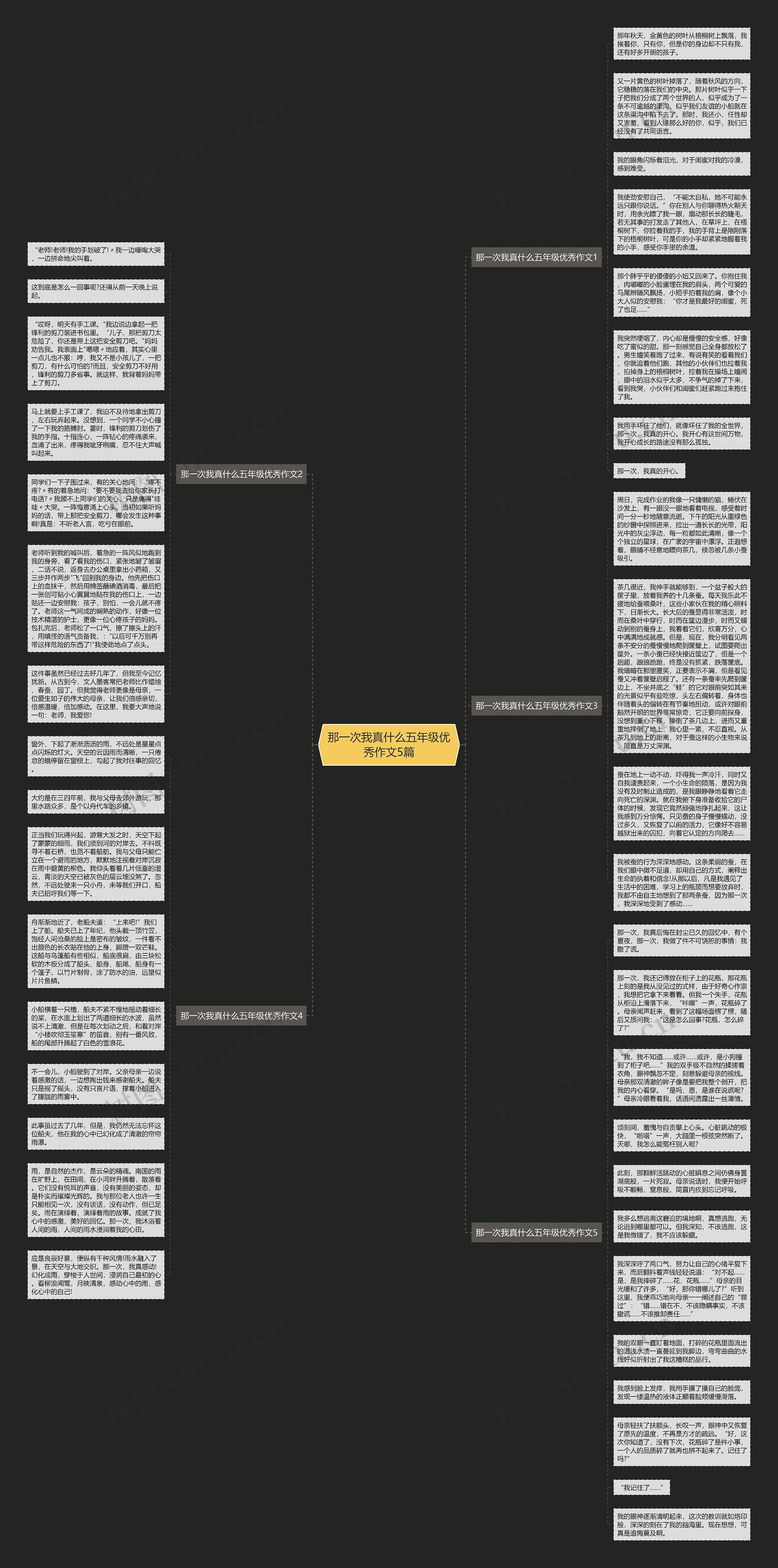那一次我真什么五年级优秀作文5篇思维导图