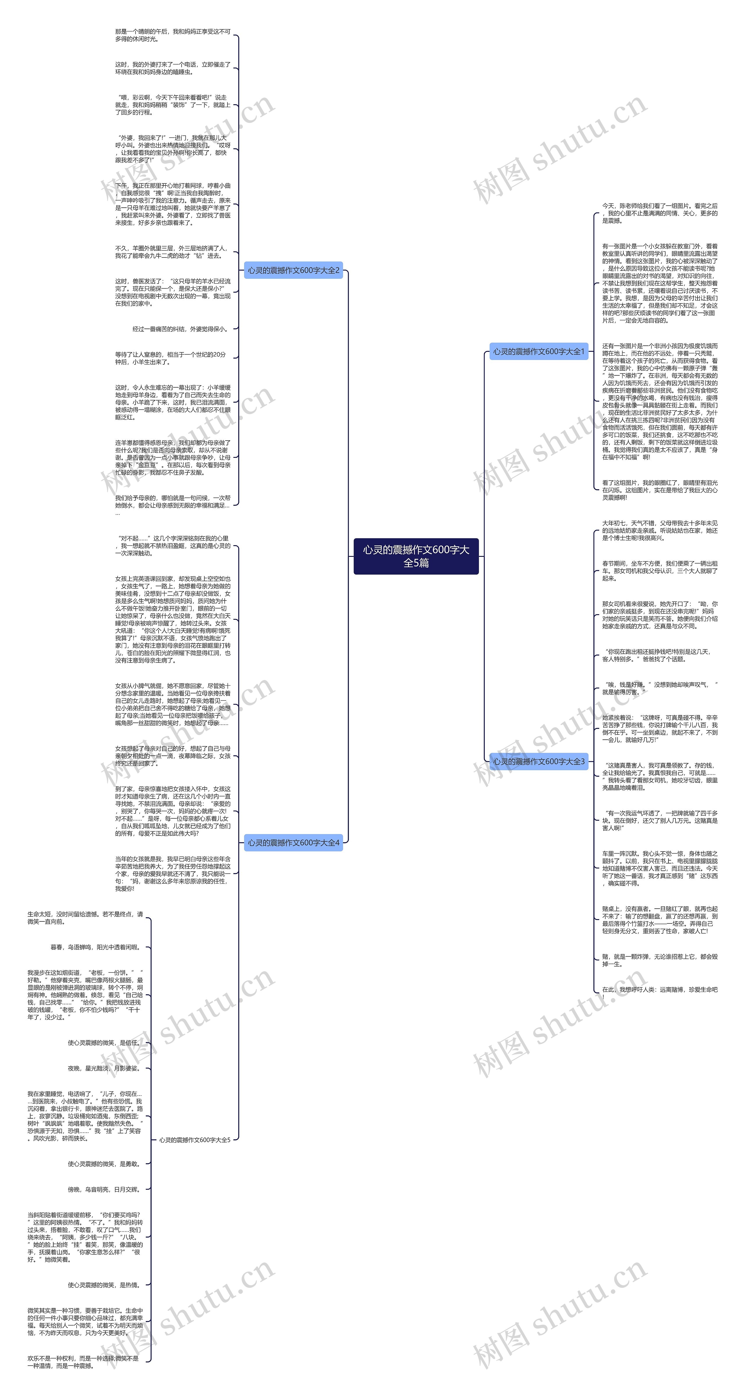 心灵的震撼作文600字大全5篇思维导图