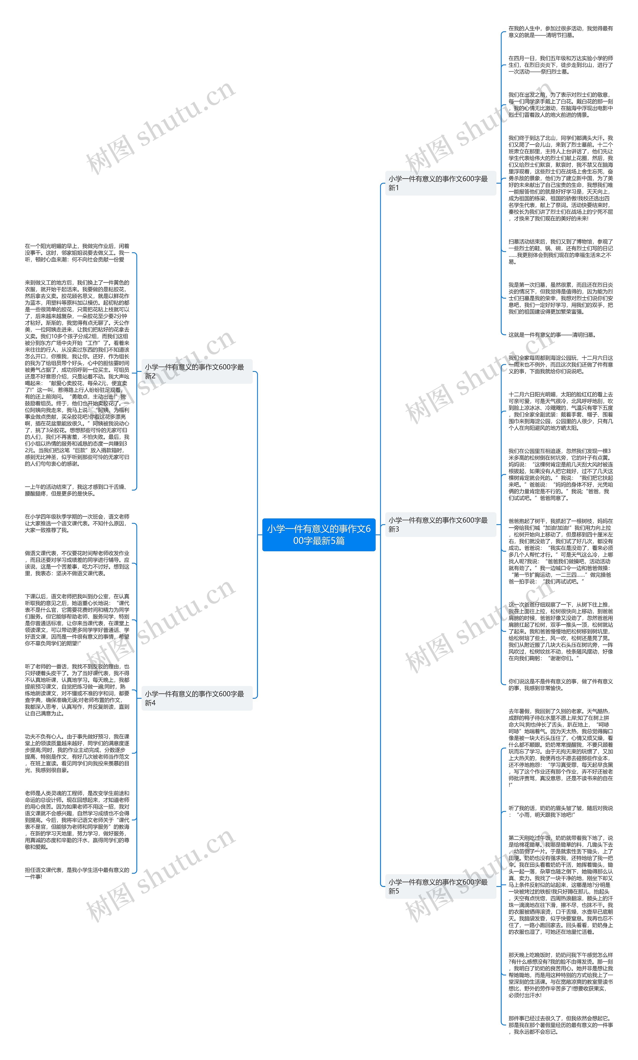 小学一件有意义的事作文600字最新5篇思维导图