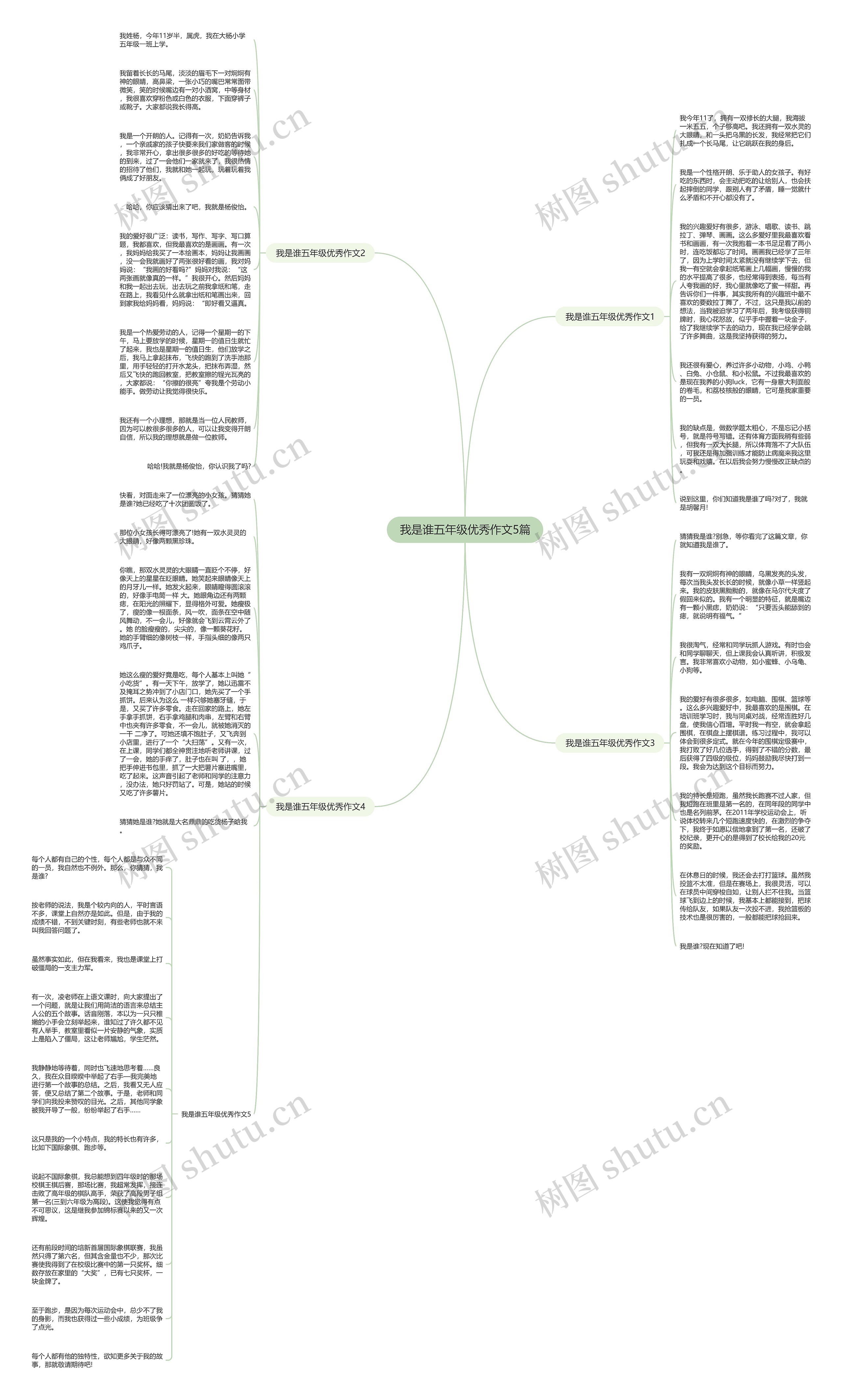 我是谁五年级优秀作文5篇思维导图