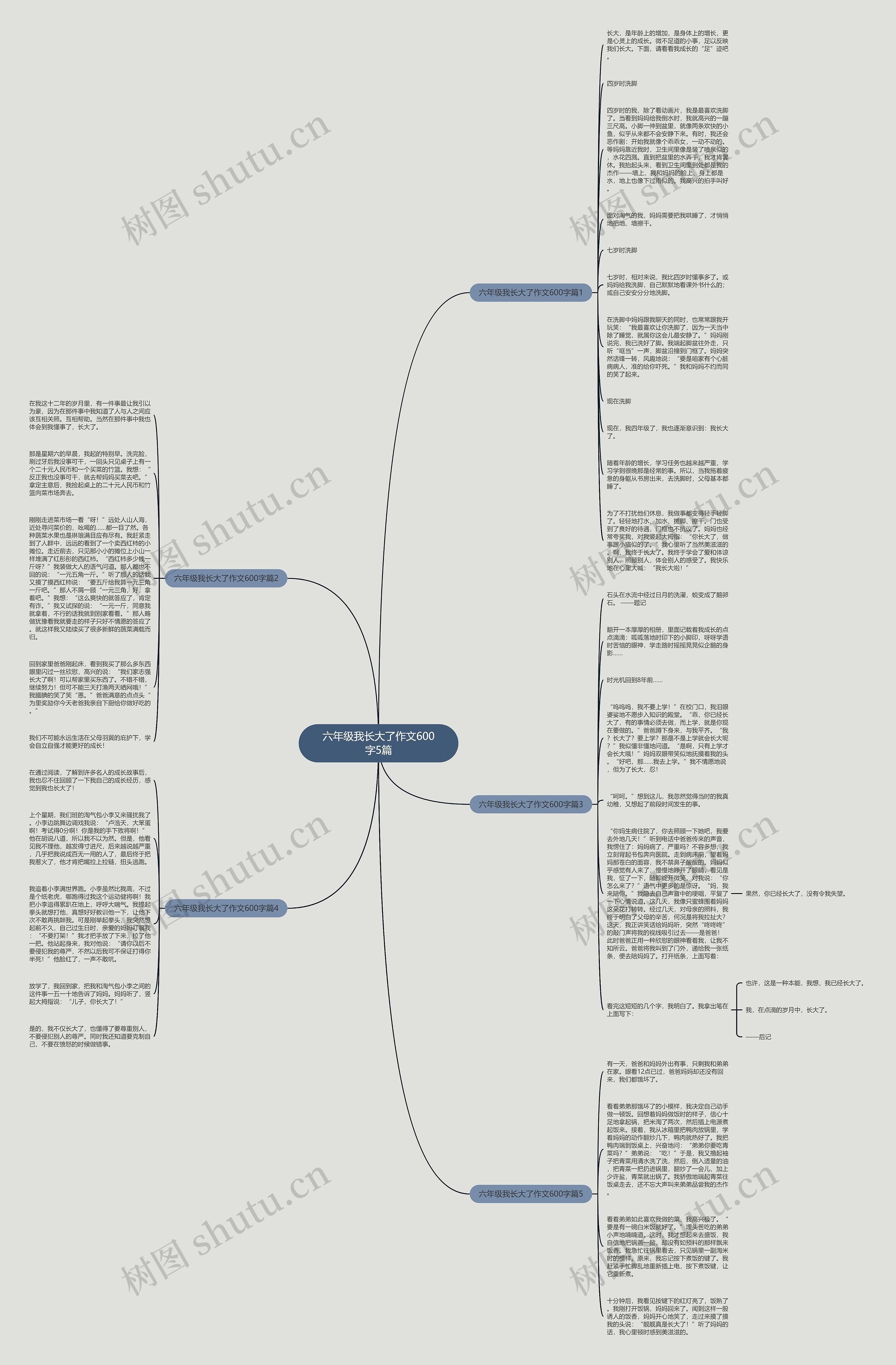 六年级我长大了作文600字5篇思维导图