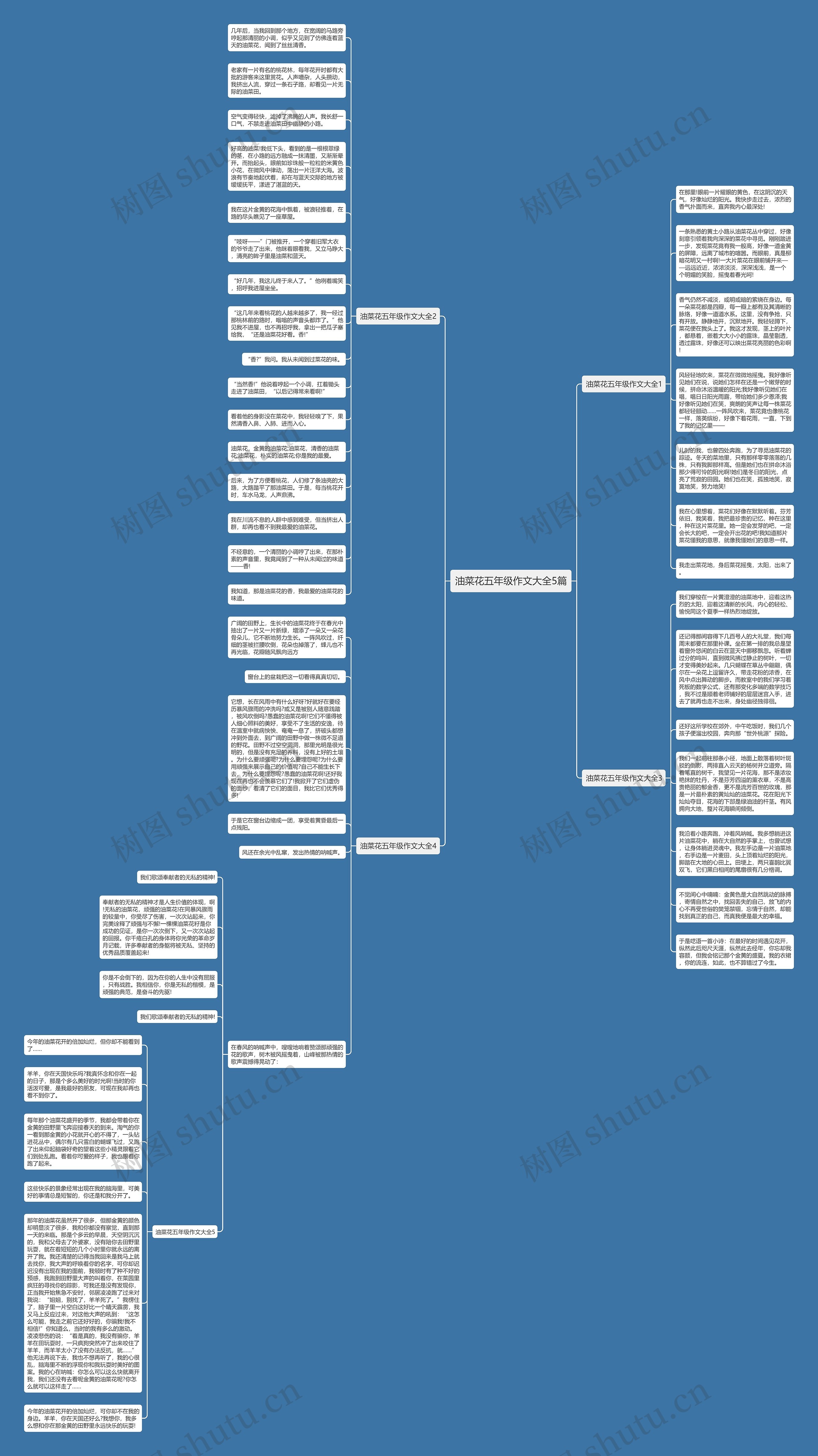 油菜花五年级作文大全5篇思维导图