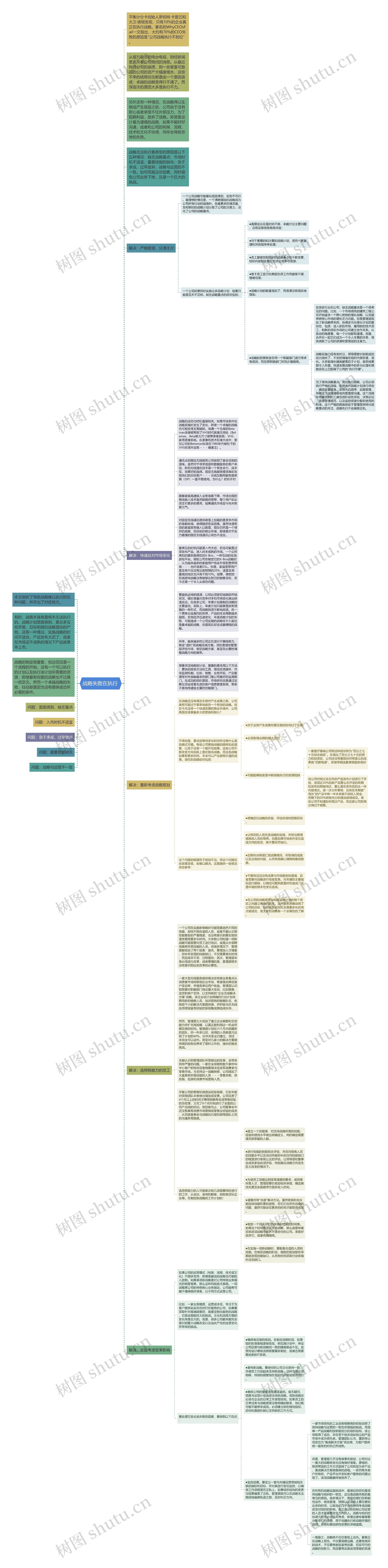 战略失败在执行 思维导图