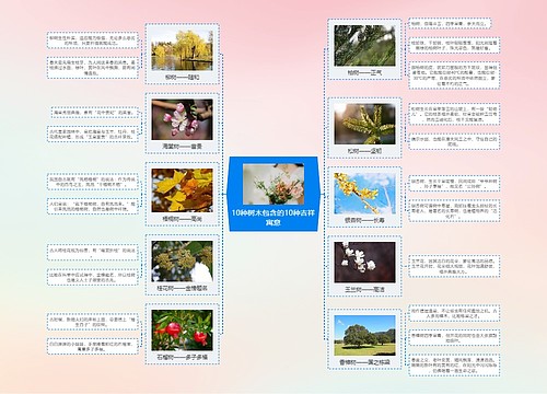 10种树木包含的10种吉祥寓意