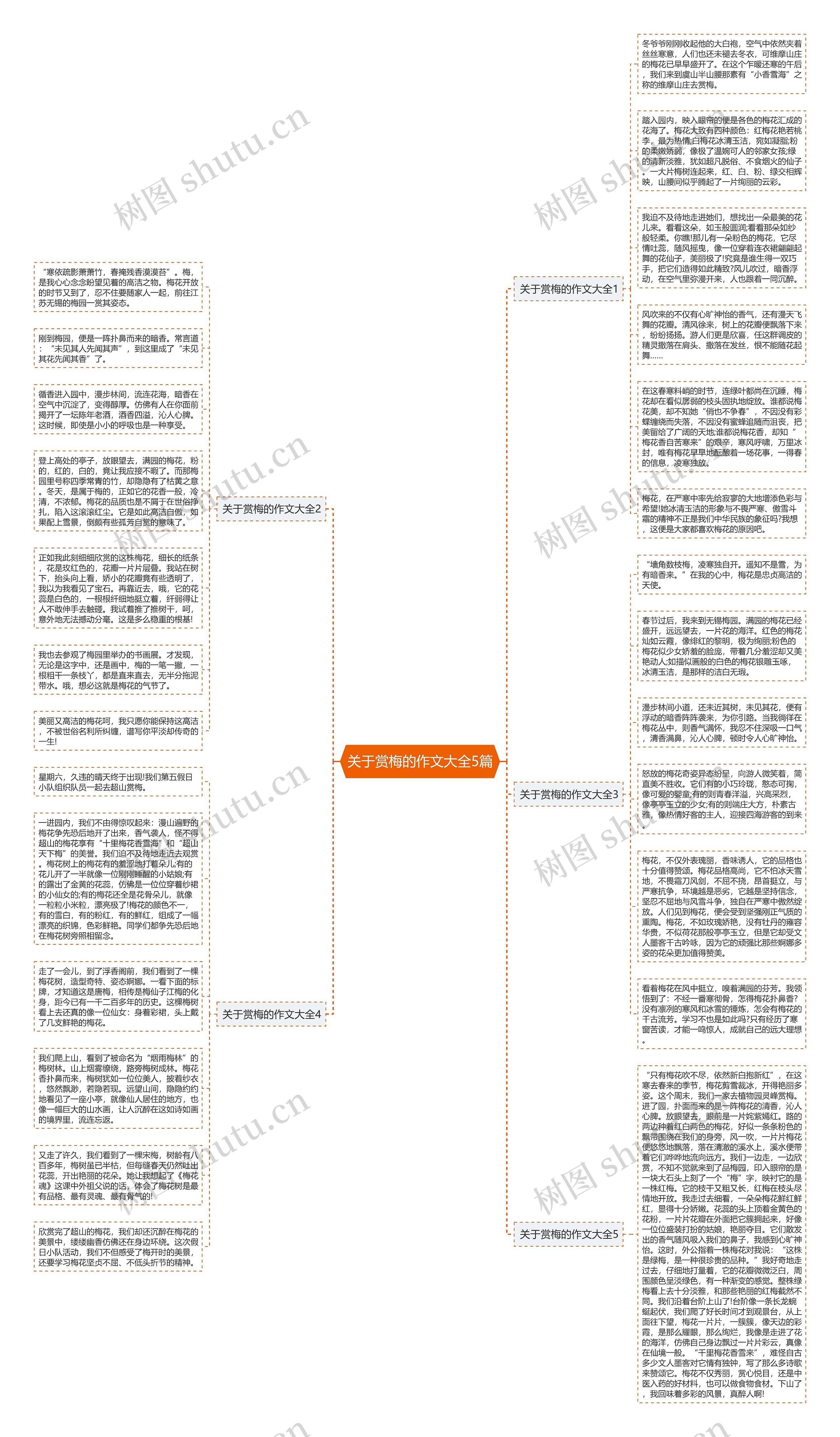 关于赏梅的作文大全5篇思维导图
