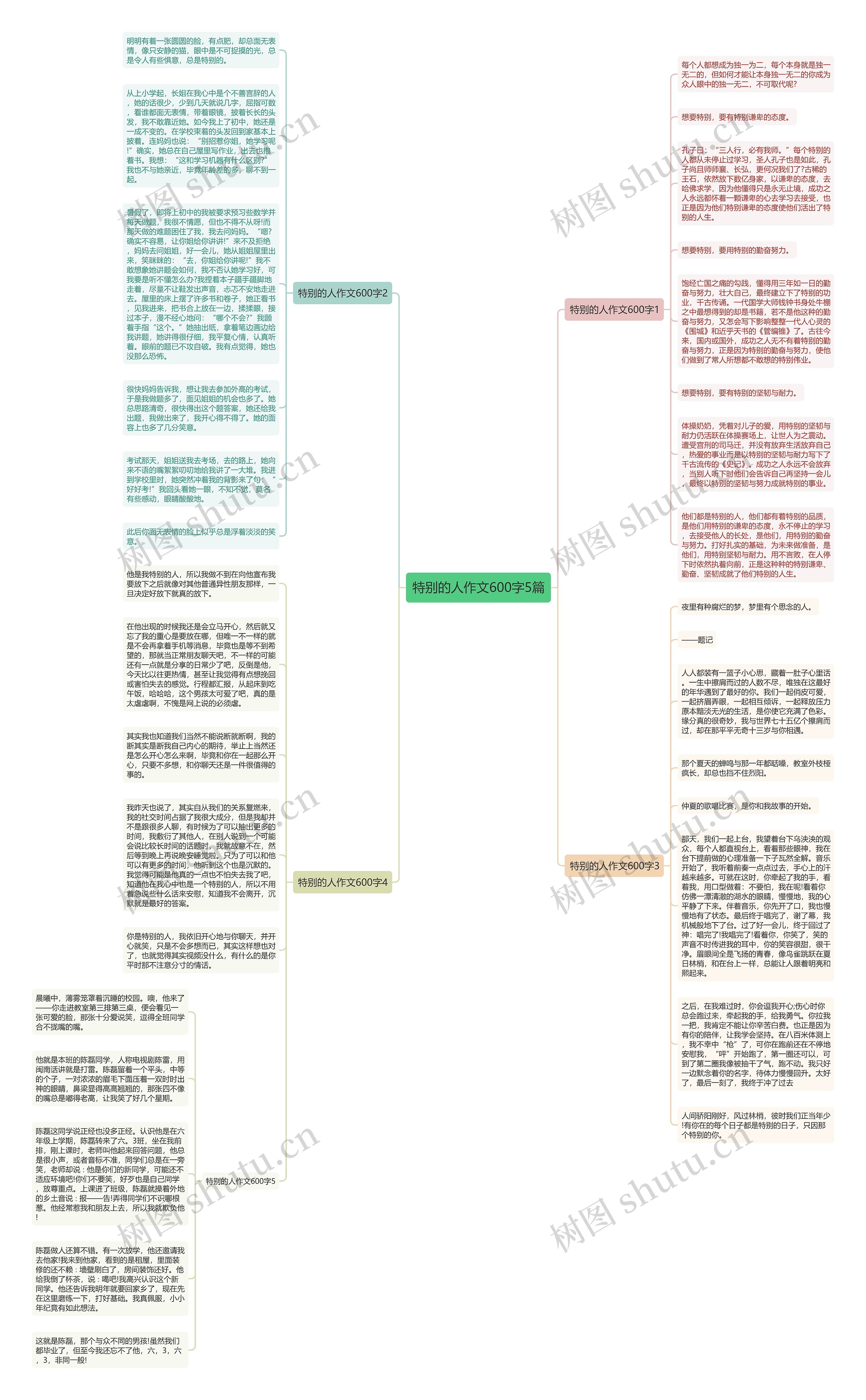 特别的人作文600字5篇思维导图