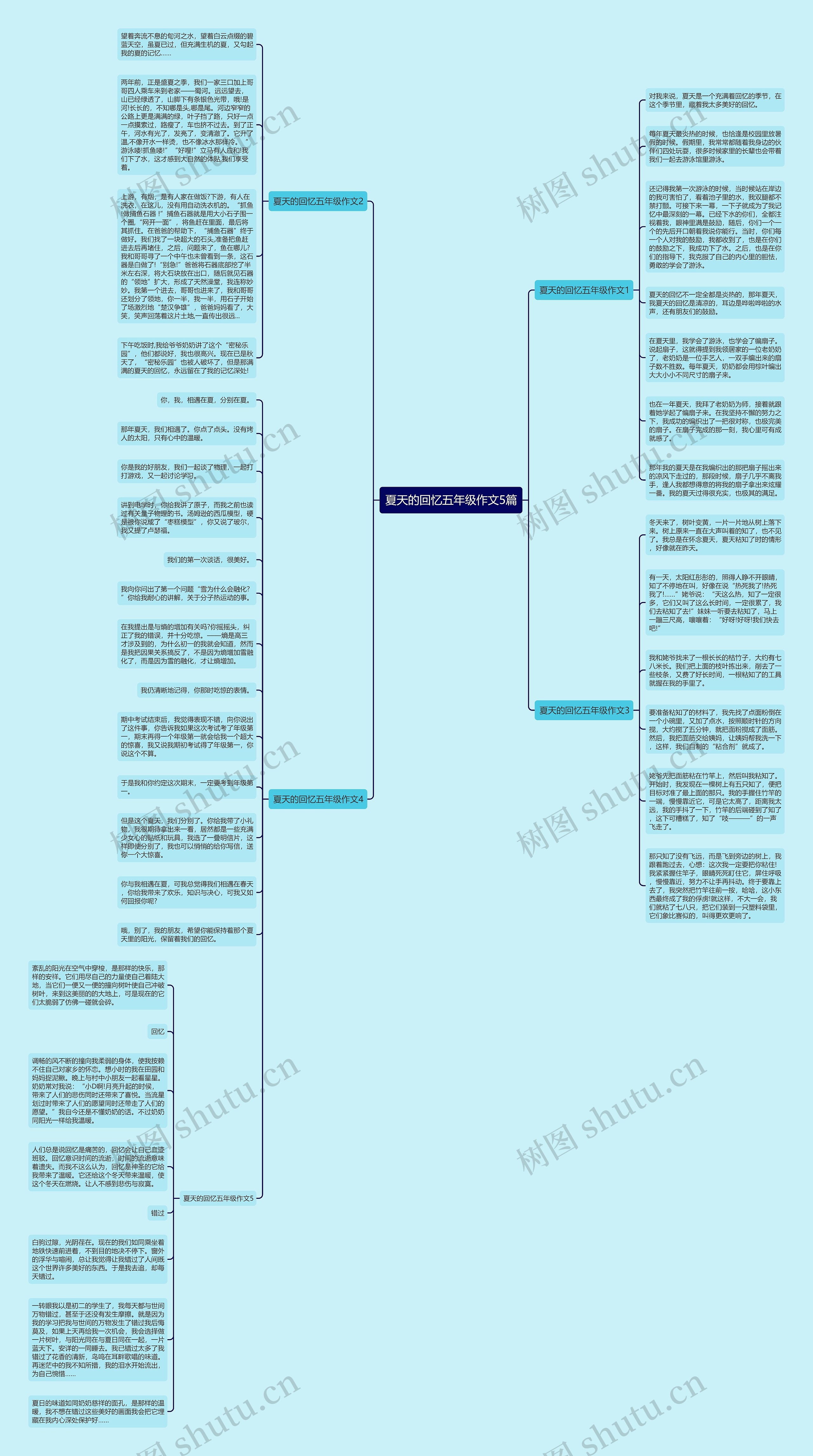 夏天的回忆五年级作文5篇思维导图