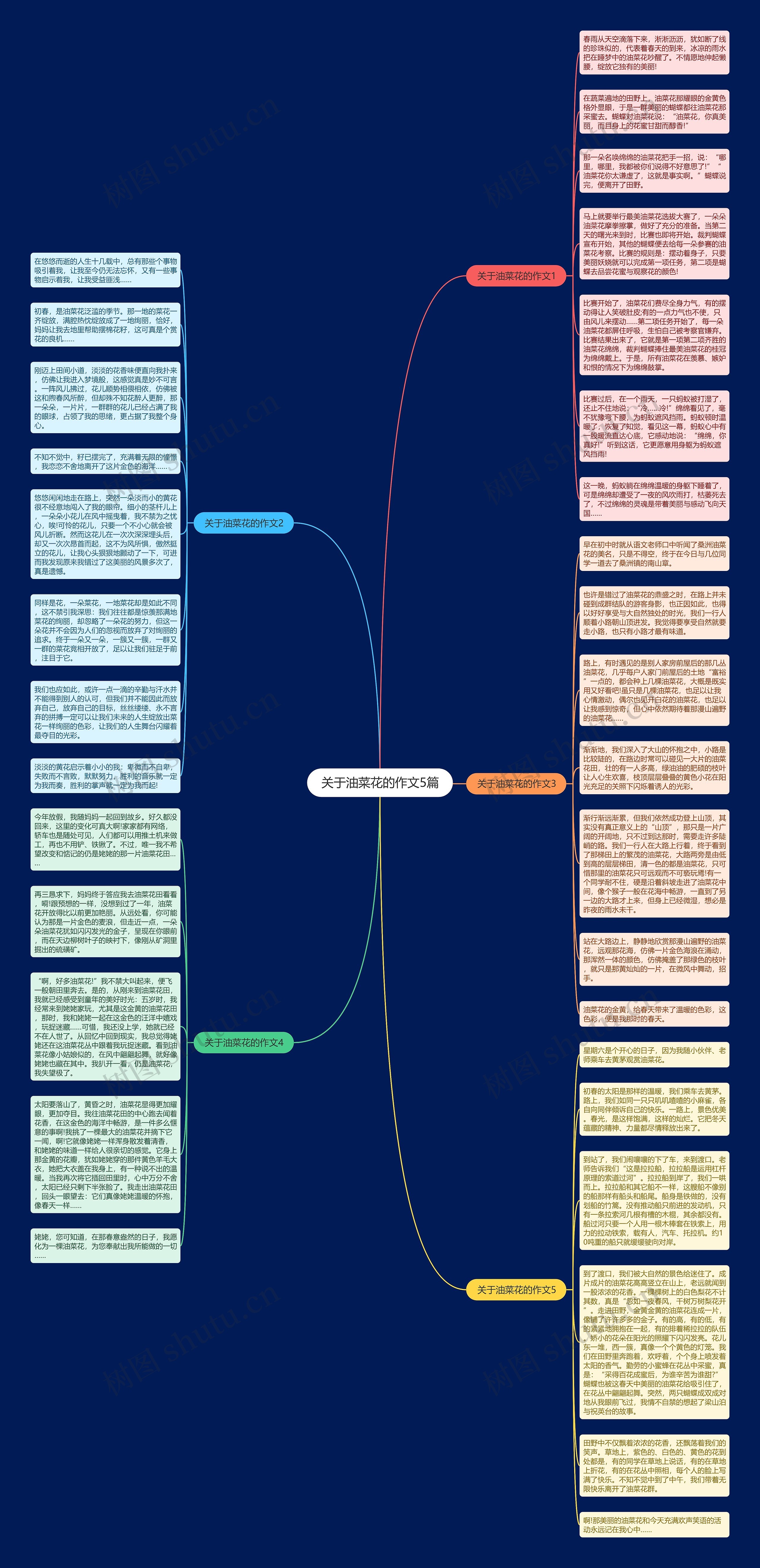 关于油菜花的作文5篇思维导图