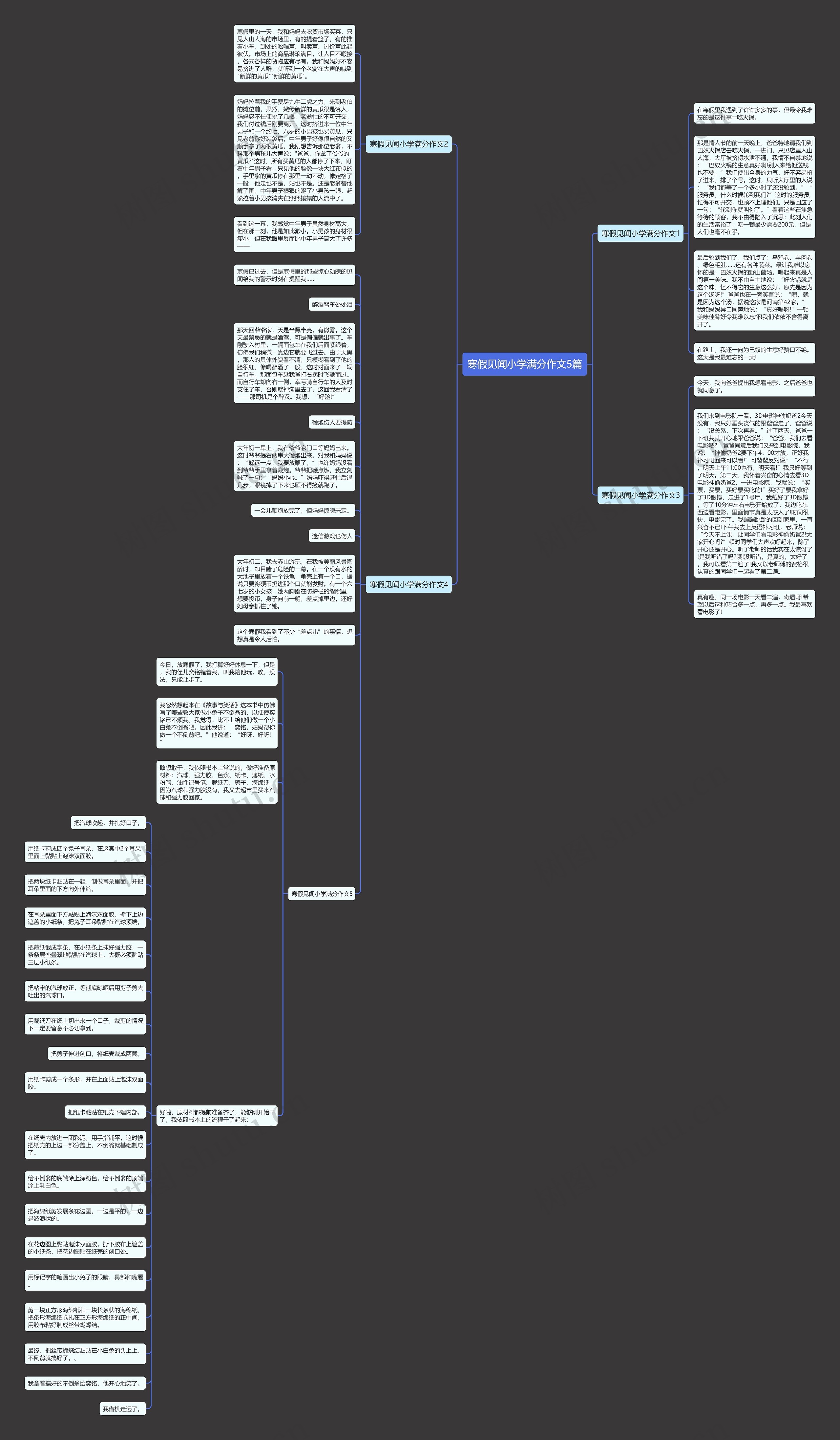 寒假见闻小学满分作文5篇思维导图