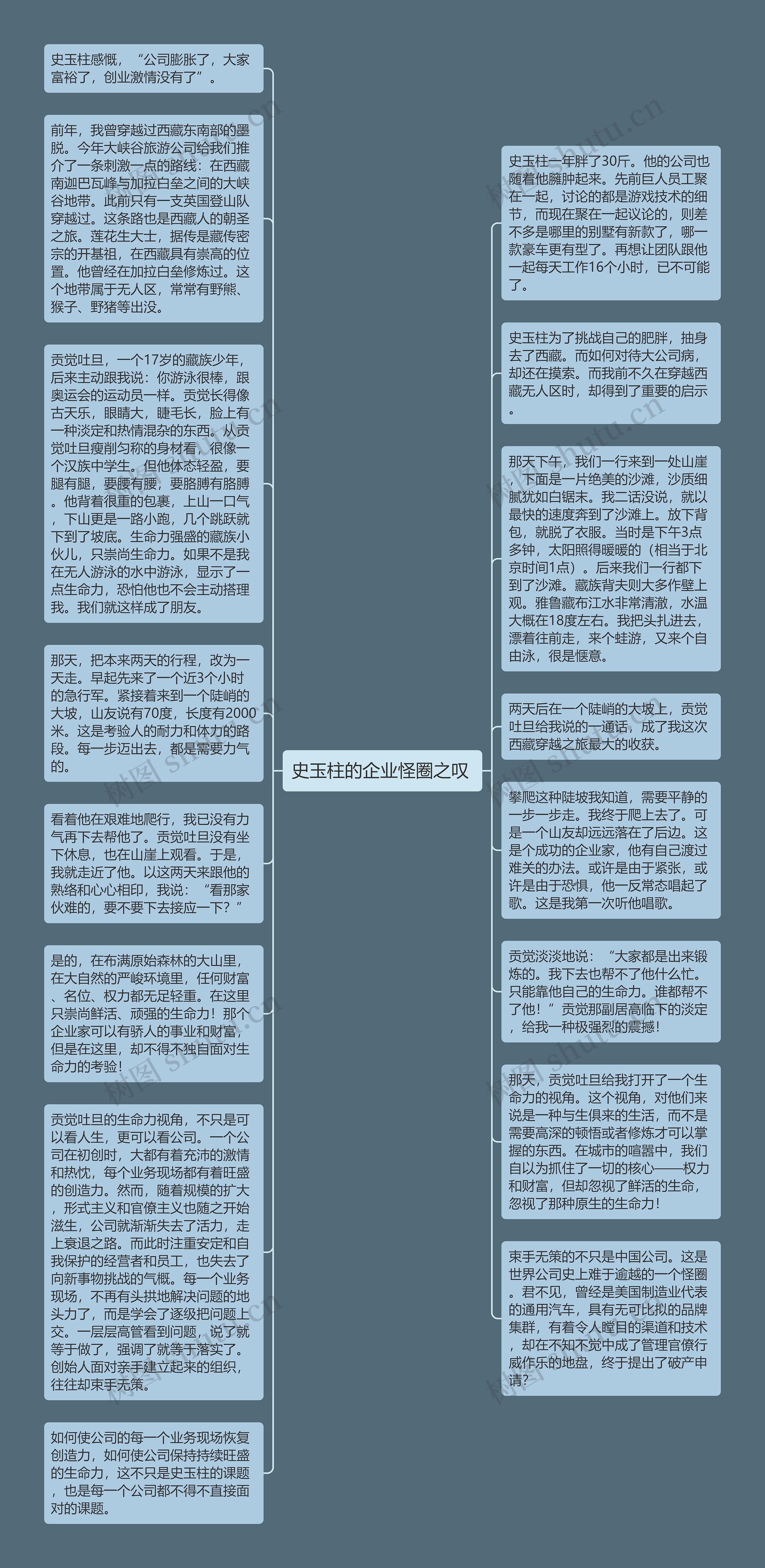 史玉柱的企业怪圈之叹 