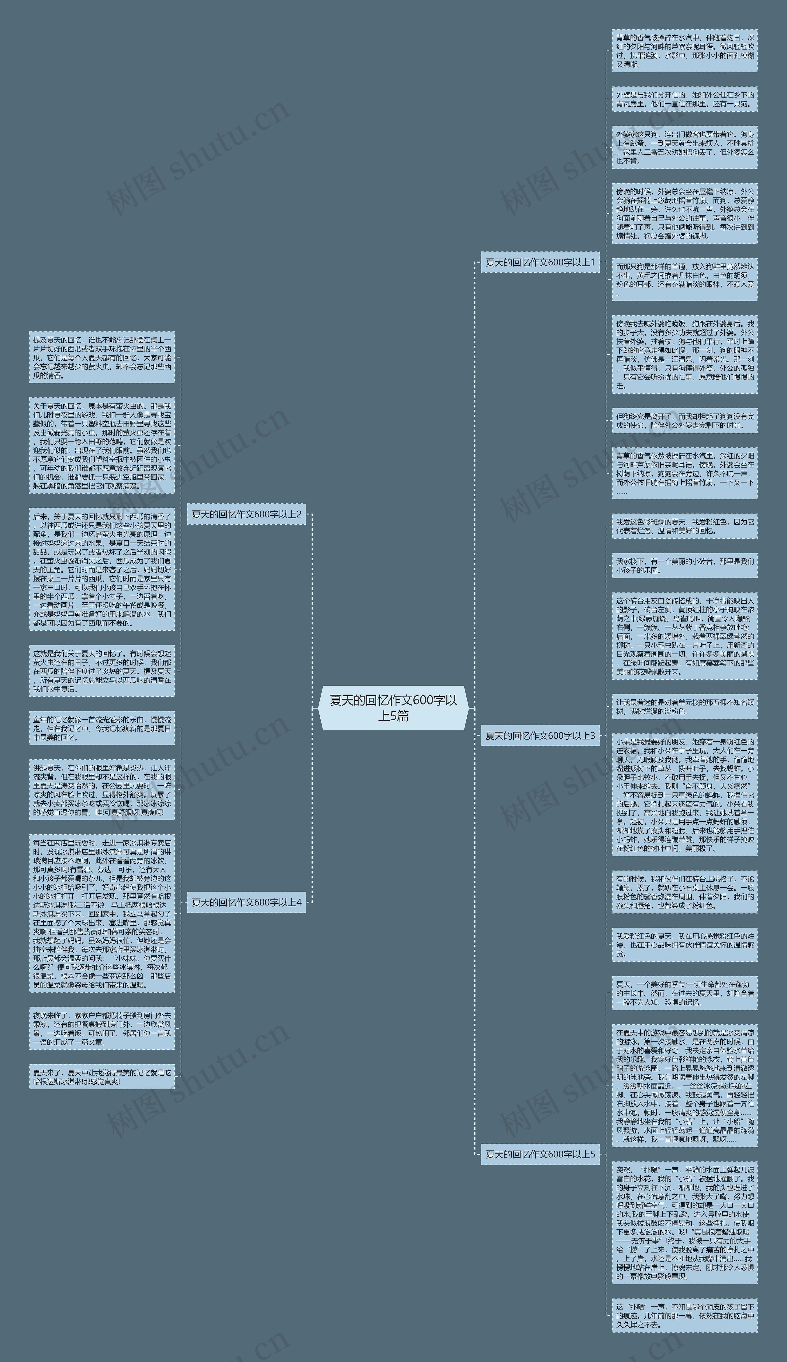 夏天的回忆作文600字以上5篇思维导图