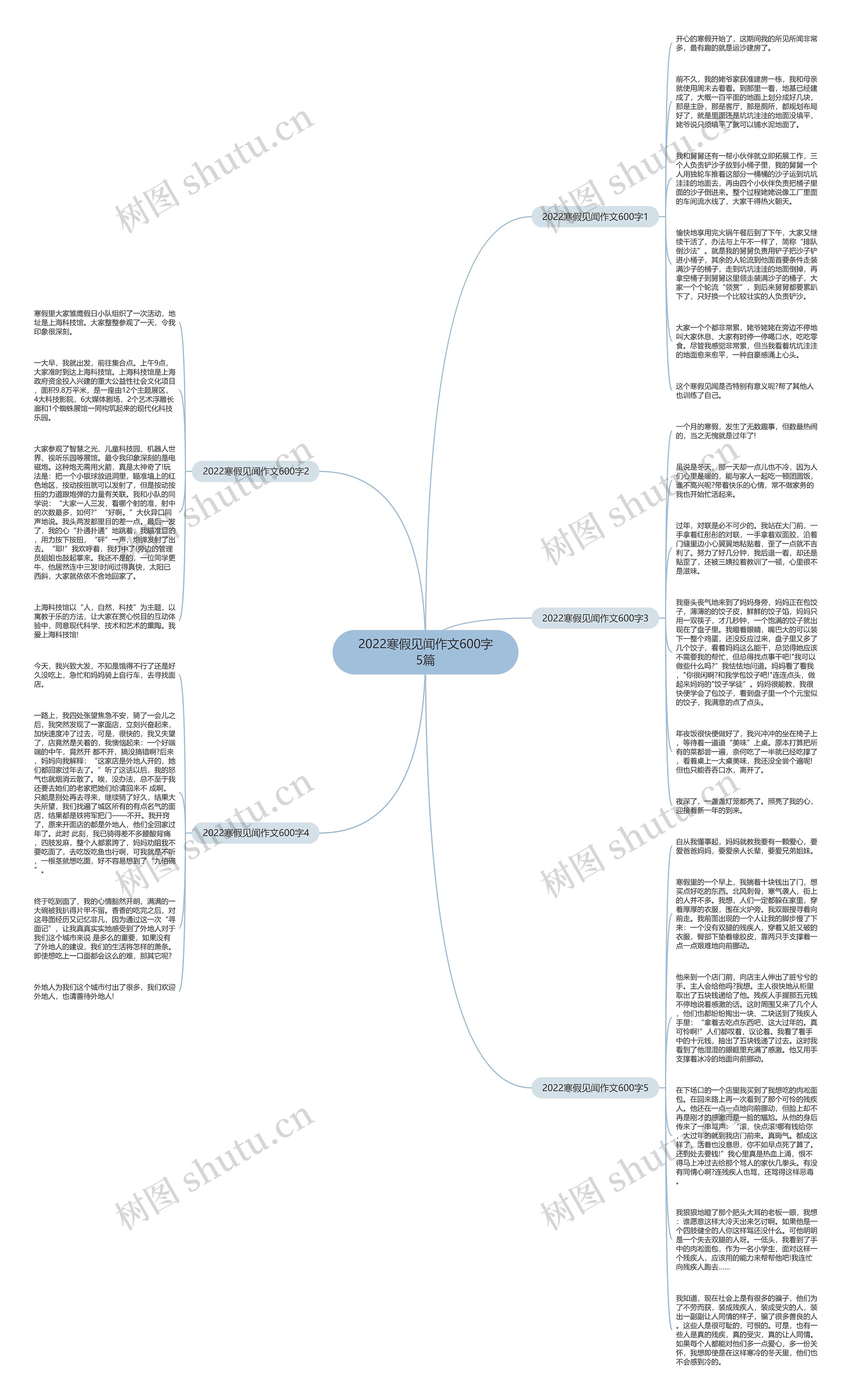 2022寒假见闻作文600字5篇思维导图