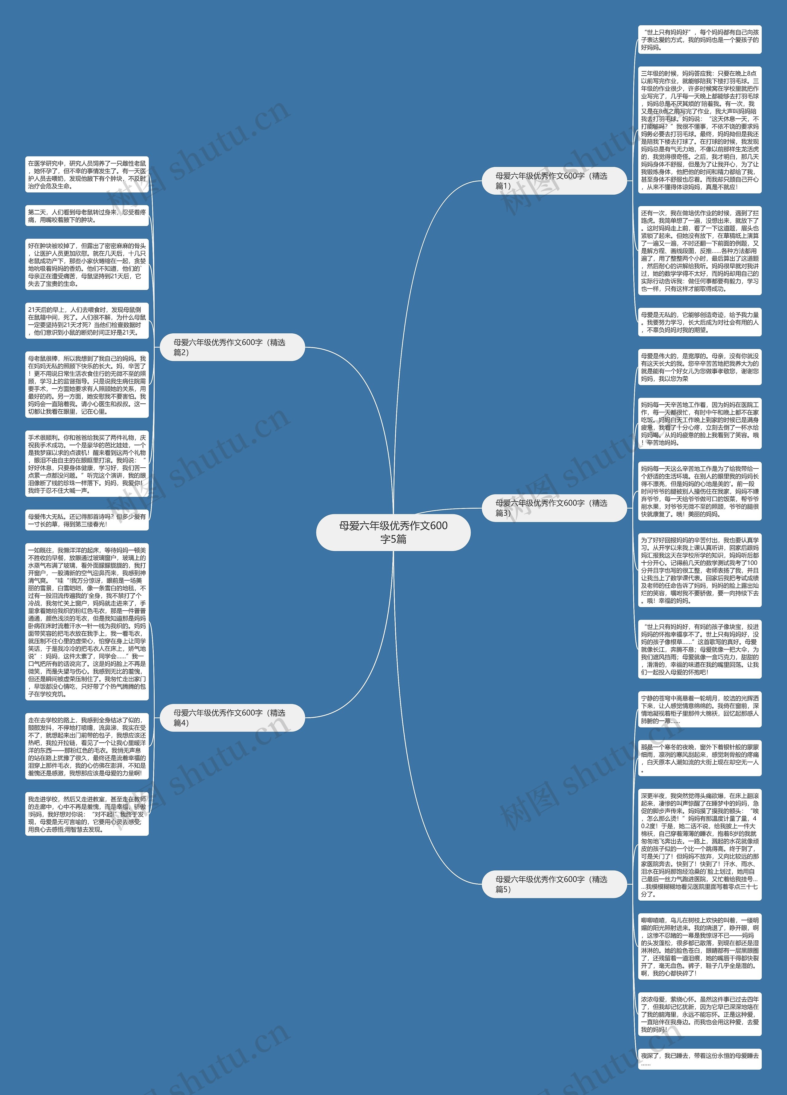母爱六年级优秀作文600字5篇思维导图