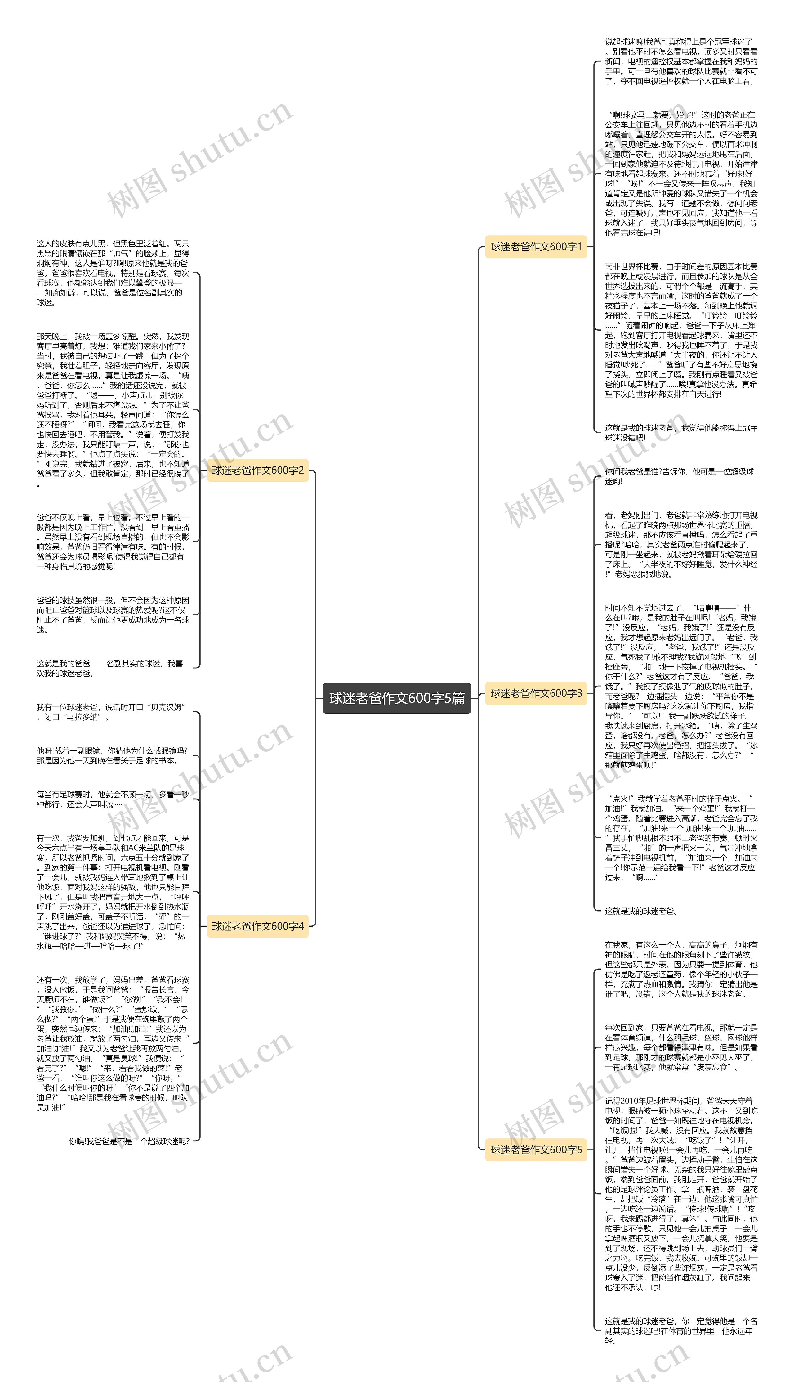 球迷老爸作文600字5篇思维导图