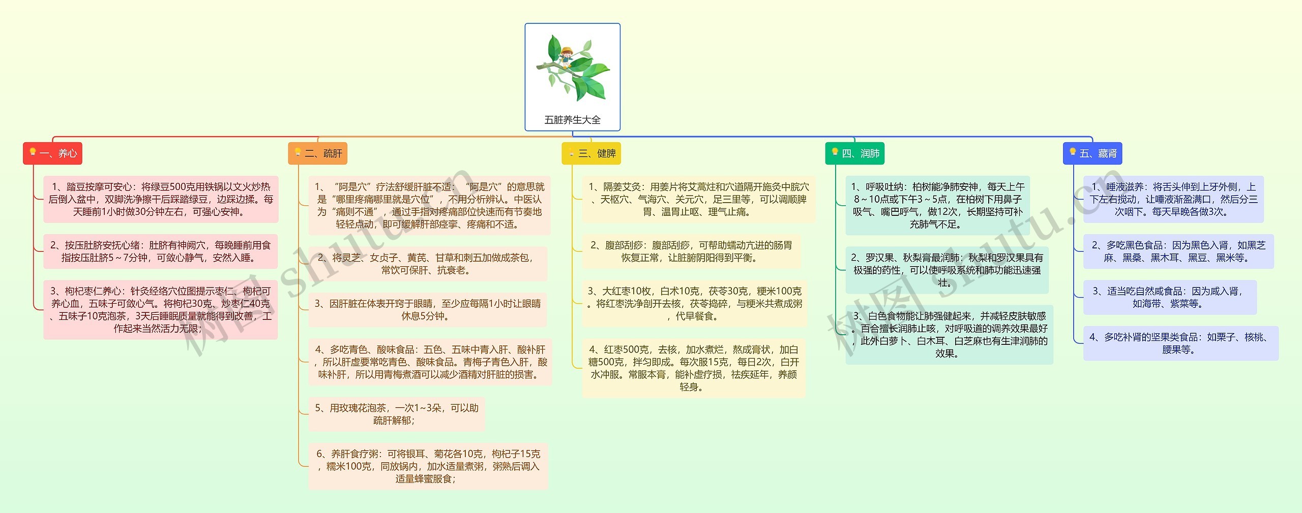 五脏养生大全思维导图