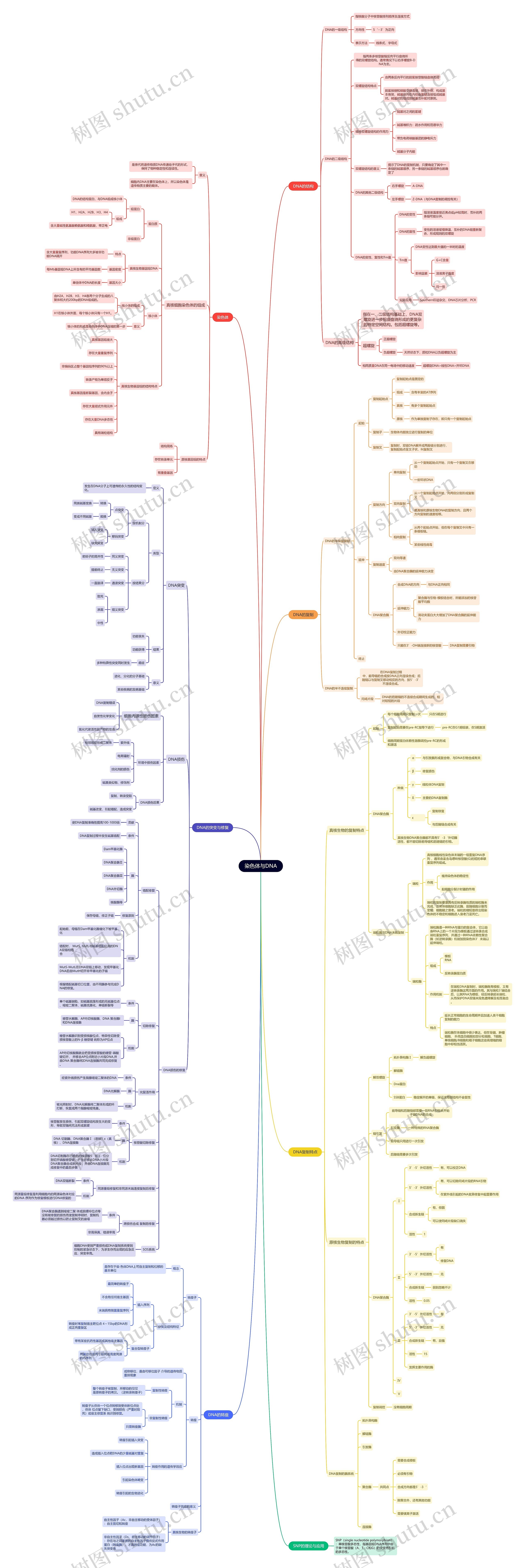 ﻿染色体与DNA知识清单思维导图