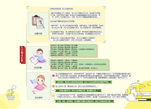 红岩精读积累