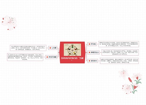 怎样养护好我们的“五脏”