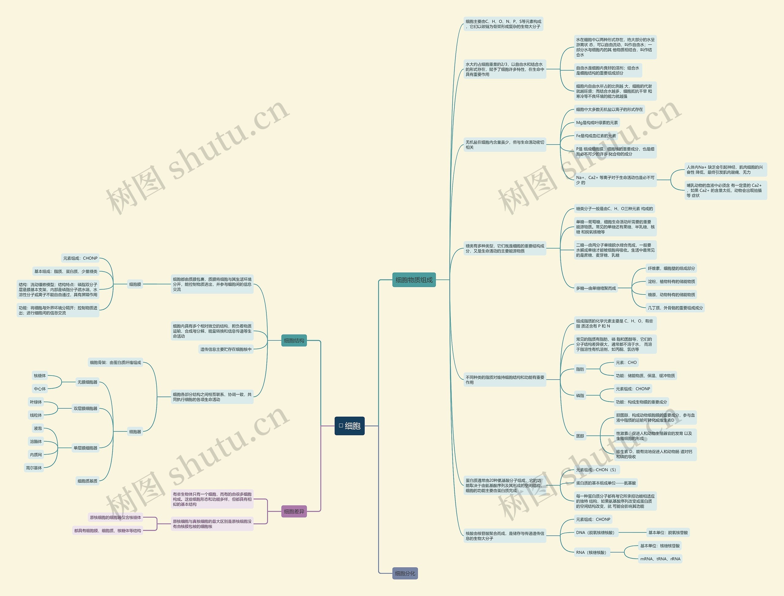 生物细胞知识清单思维导图