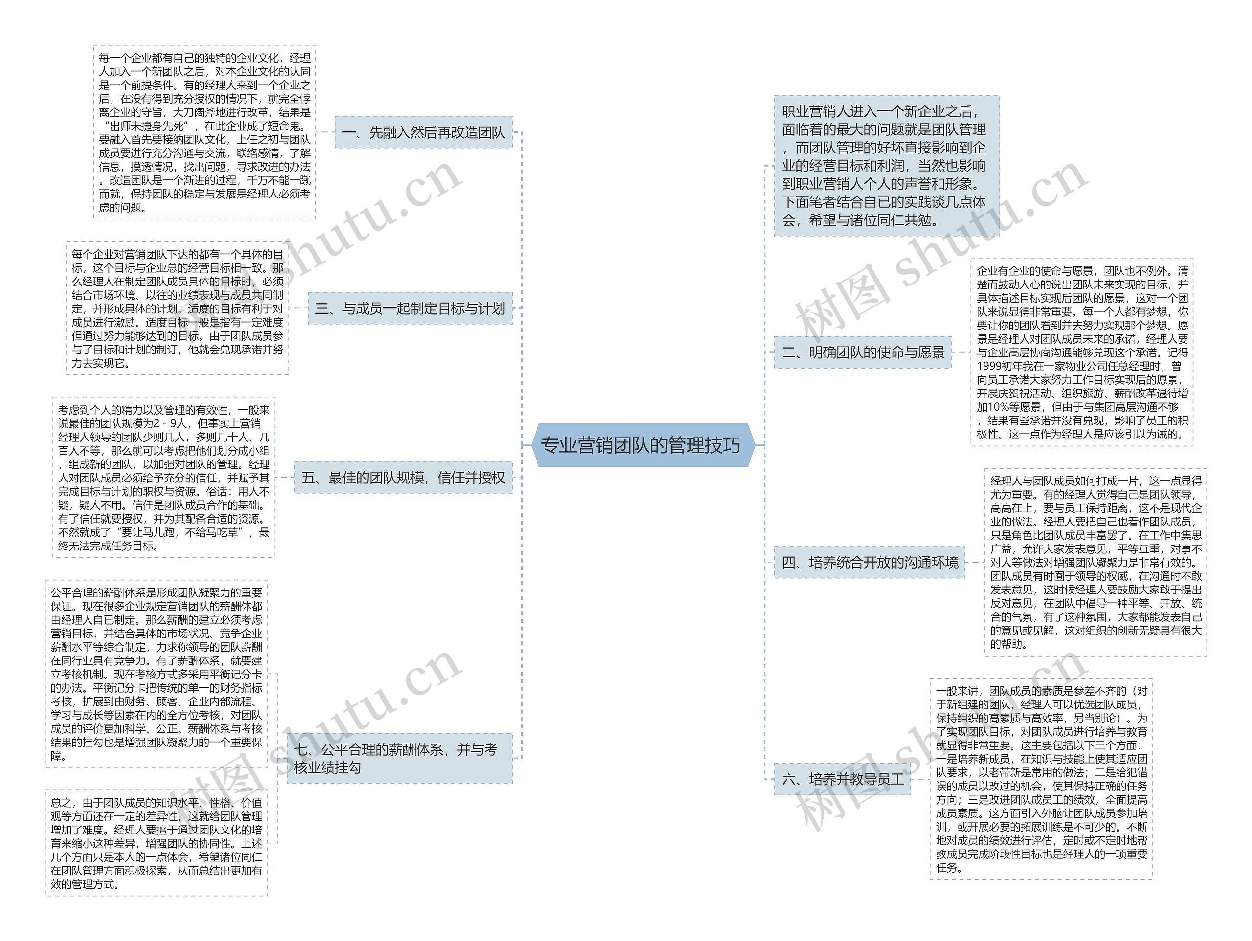 专业营销团队的管理技巧 
